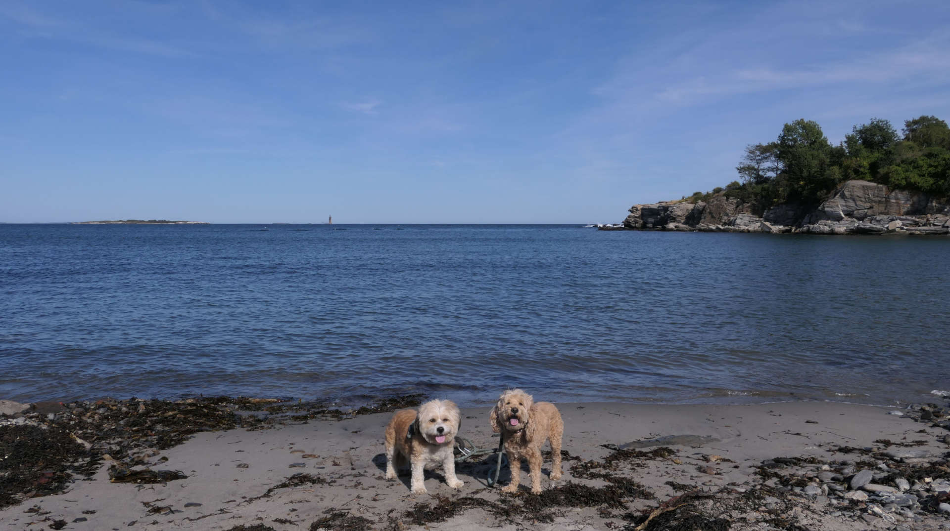 Cape_Elizabeth14