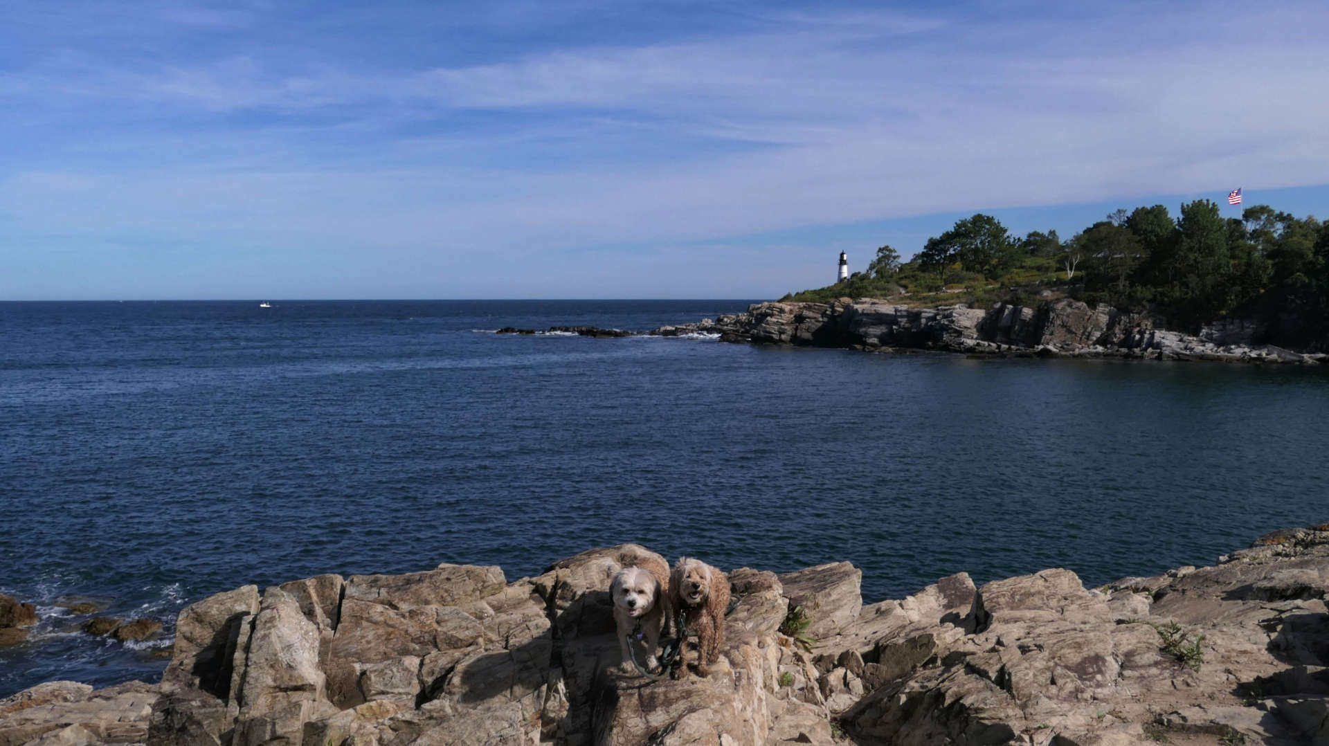 Cape_Elizabeth19