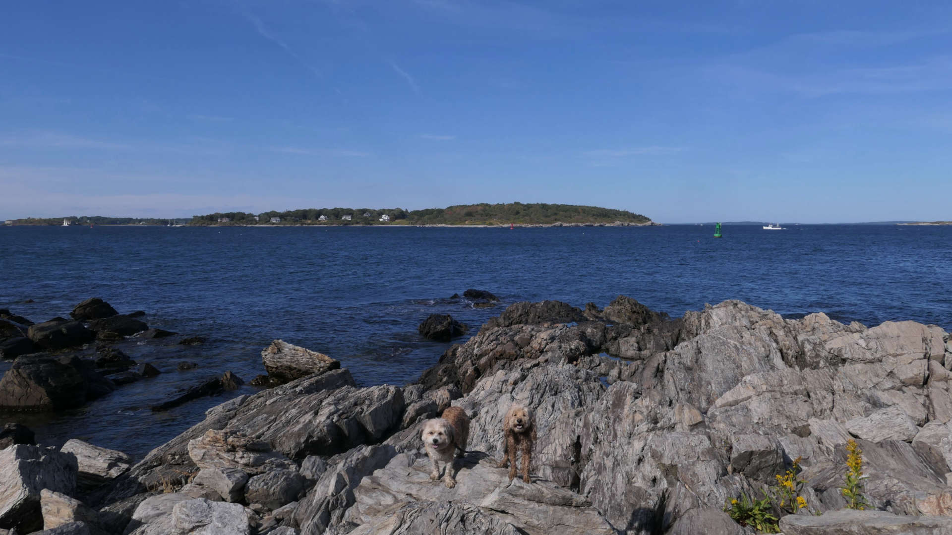 Cape_Elizabeth21
