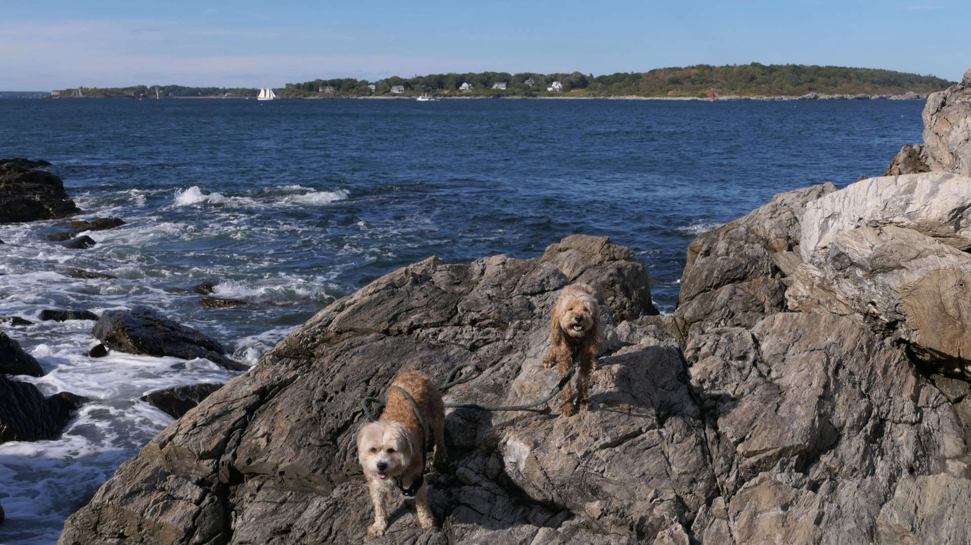 Cape_Elizabeth22