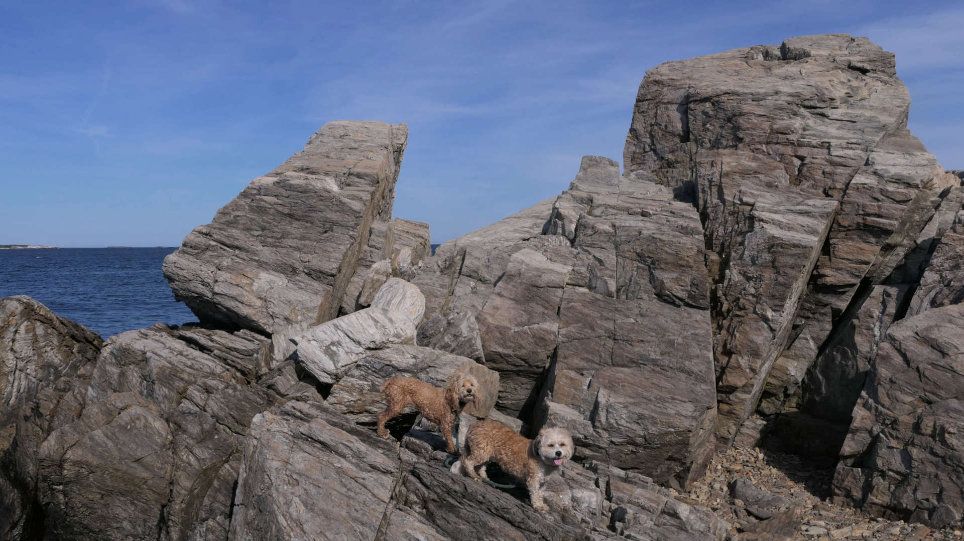 Cape_Elizabeth23
