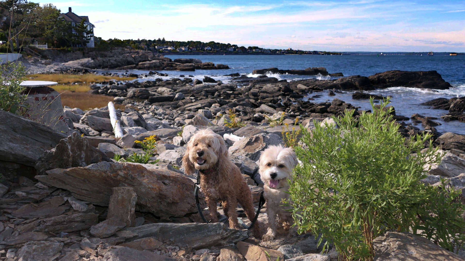 Cape_Elizabeth24