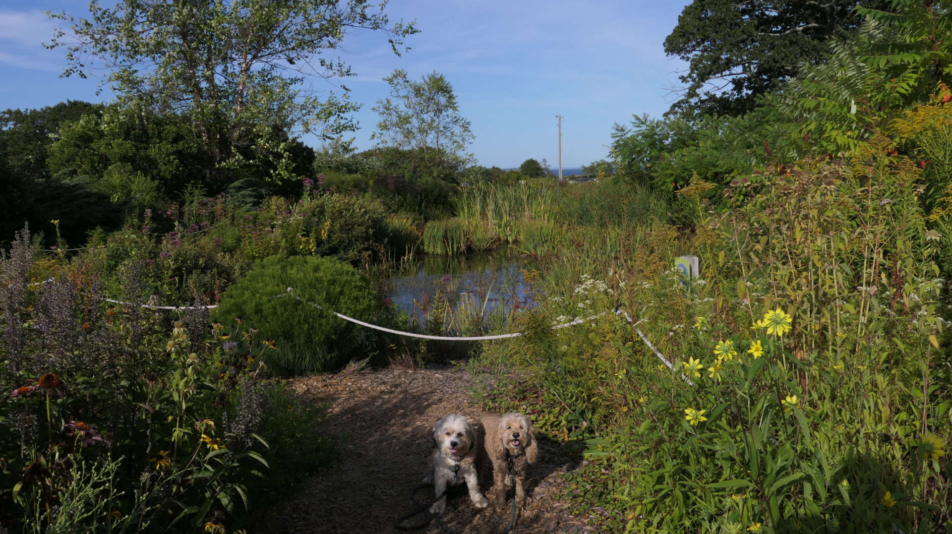 Cape_Elizabeth33