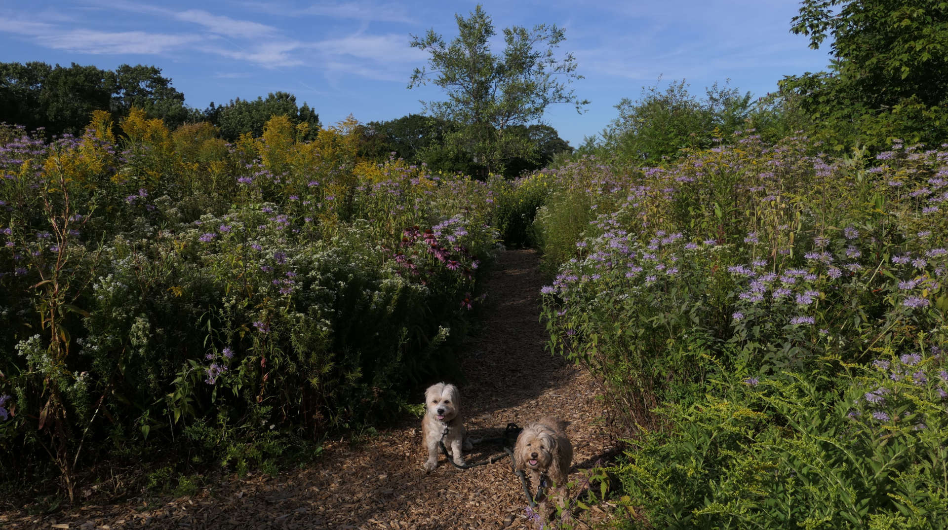 Cape_Elizabeth34