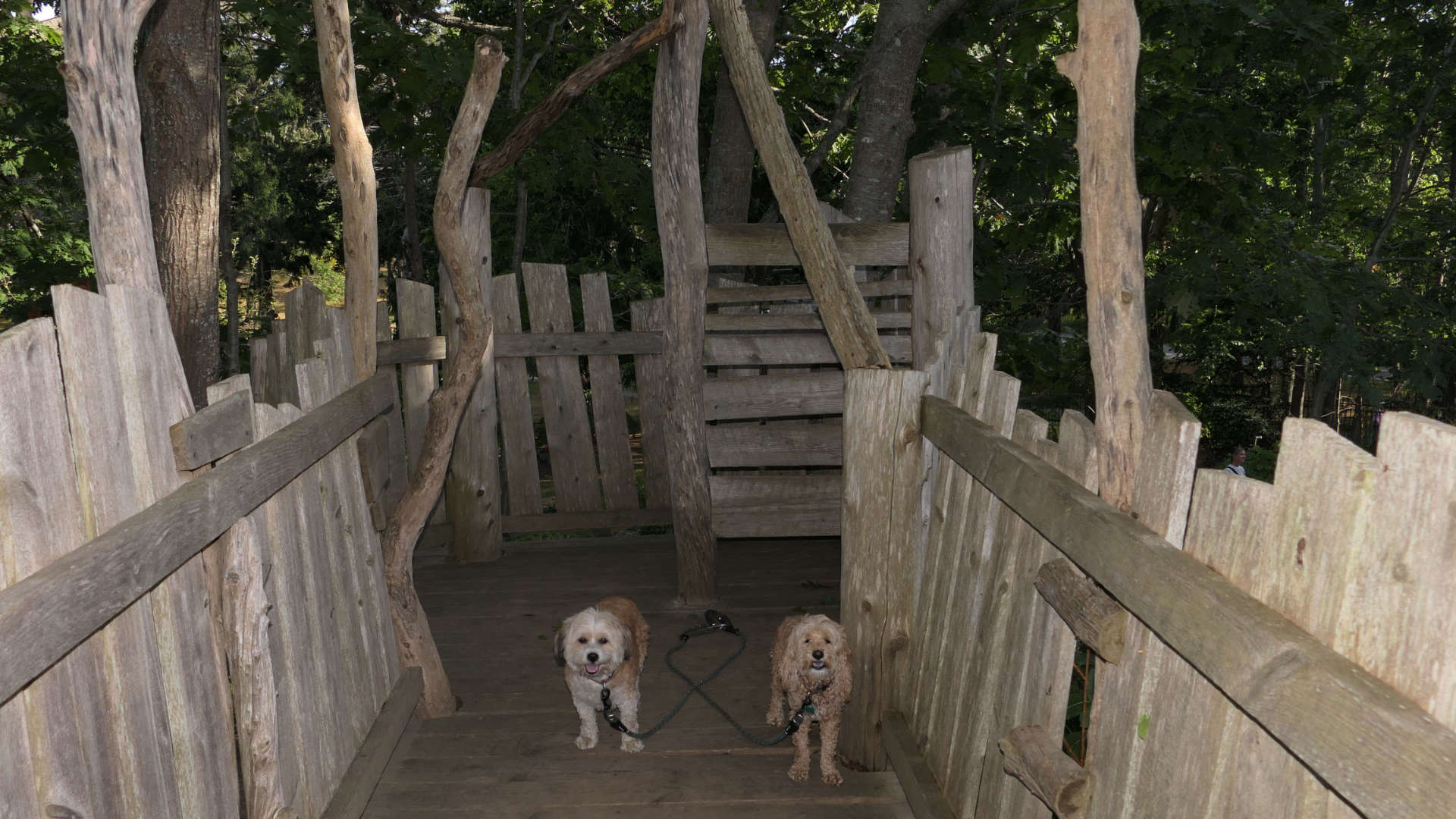 Cape_Elizabeth35