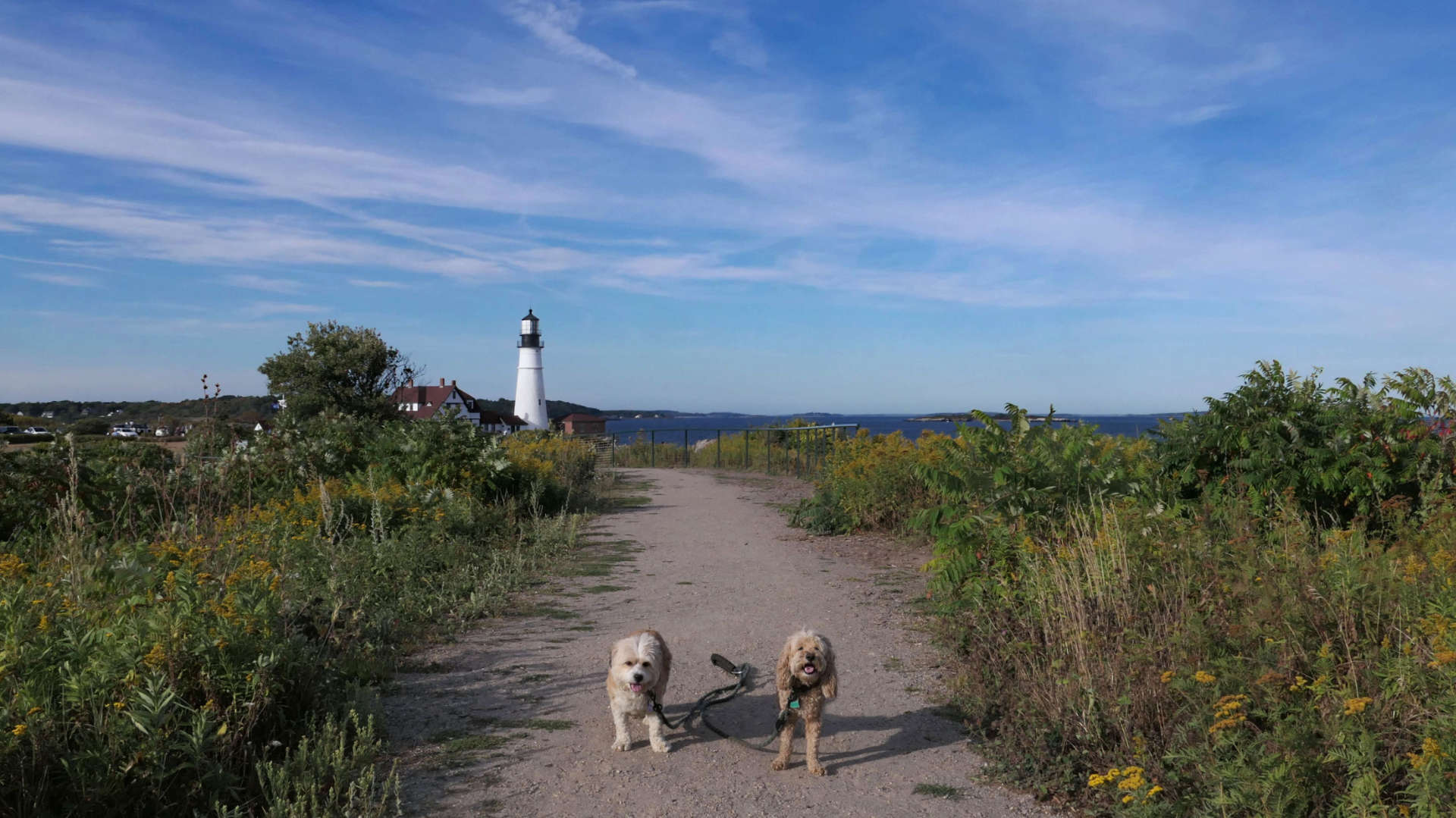 Cape_Elizabeth42