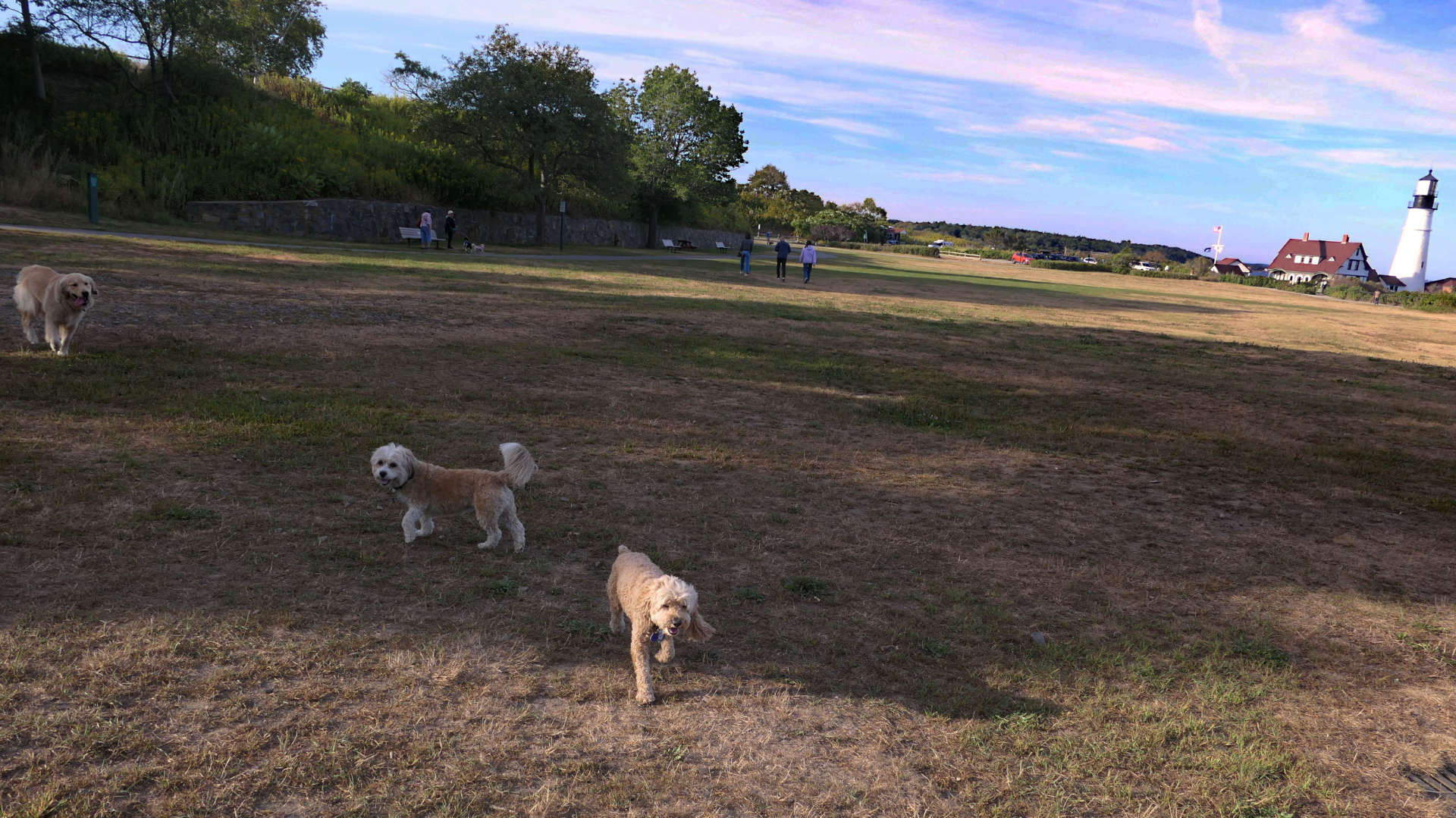 Cape_Elizabeth46