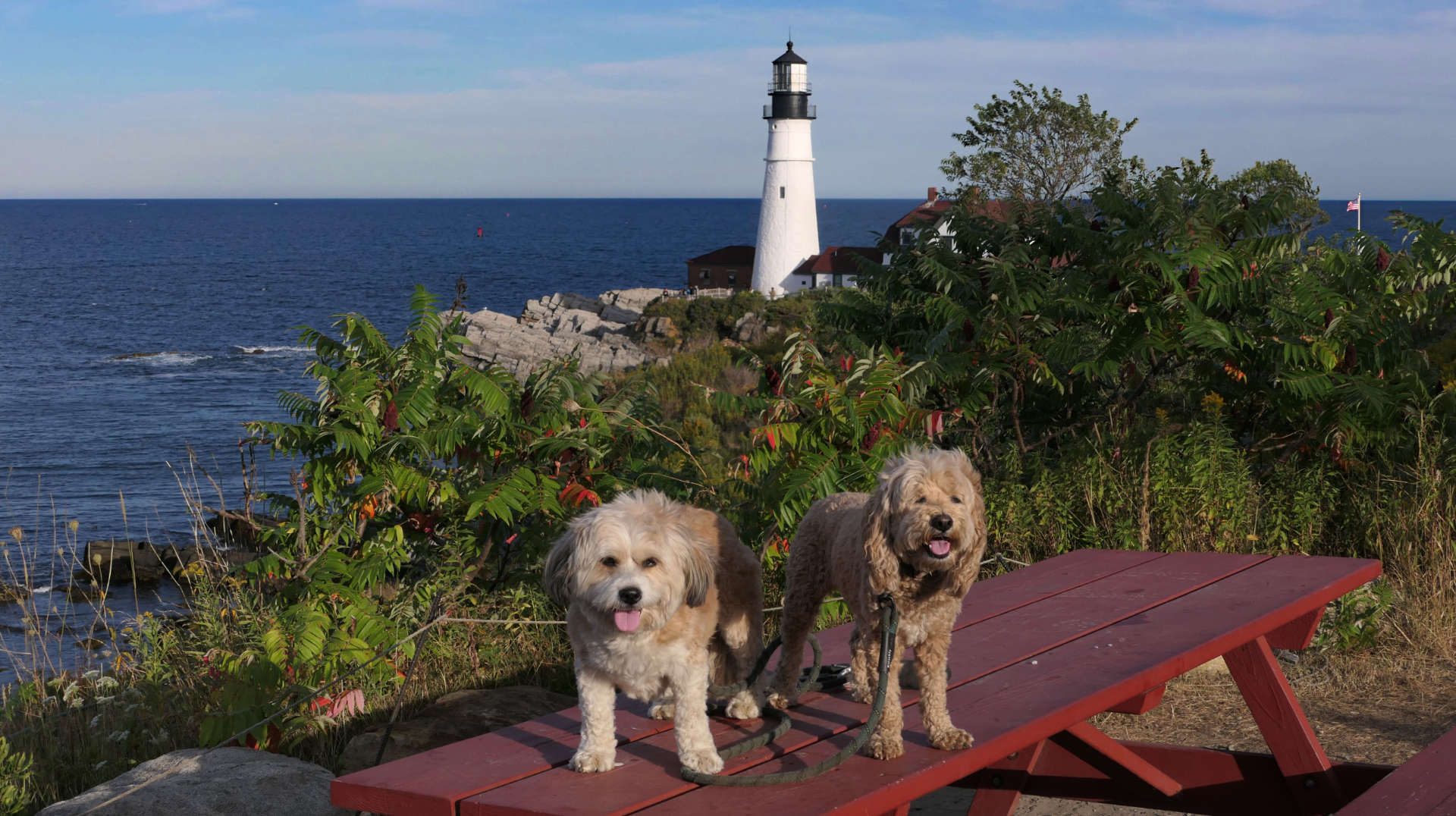 Cape_Elizabeth47