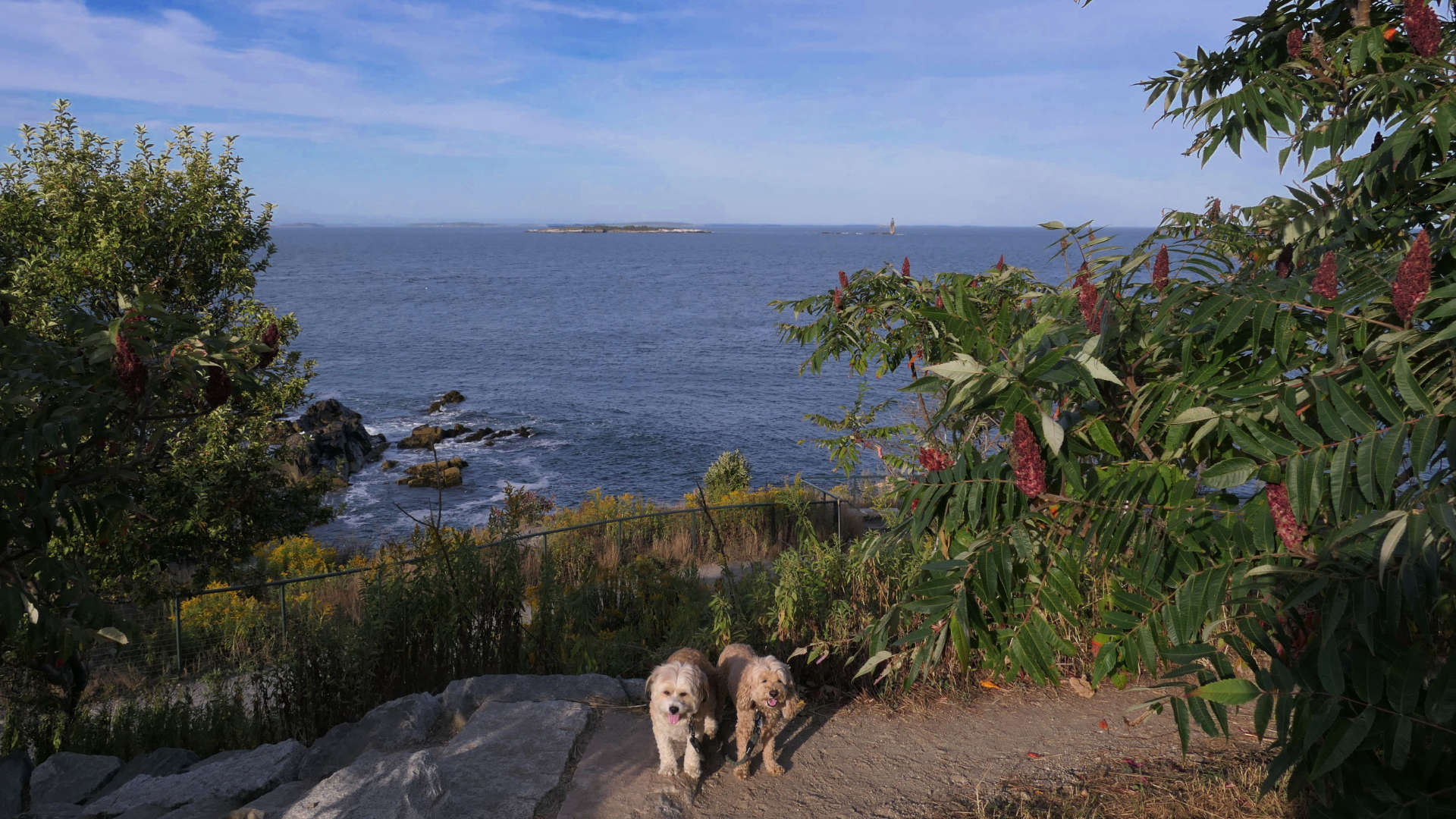 Cape_Elizabeth48