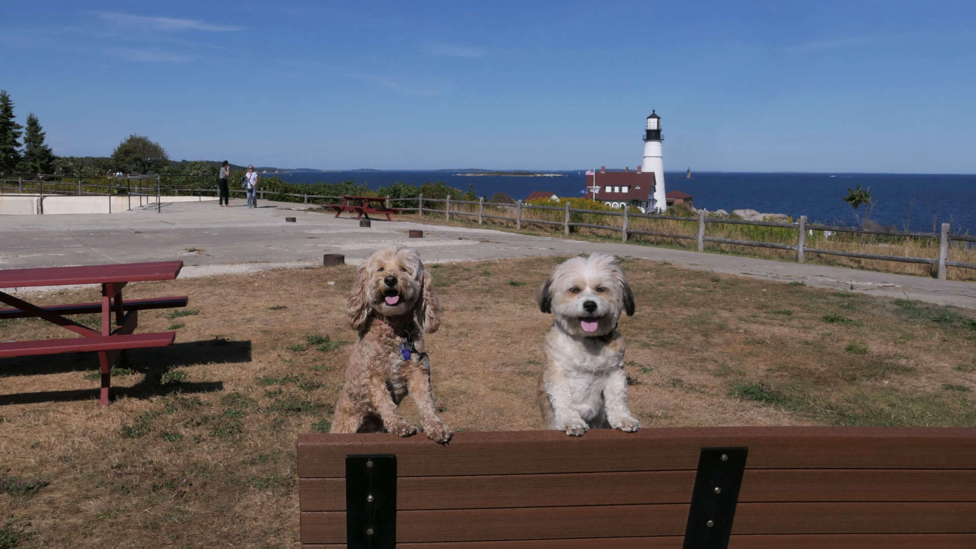 Cape_Elizabeth5