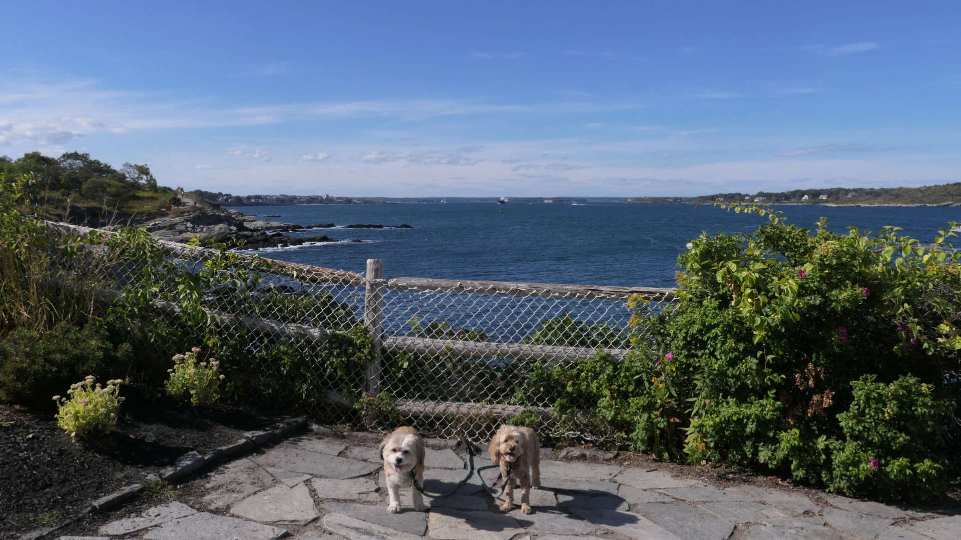 Cape_Elizabeth7