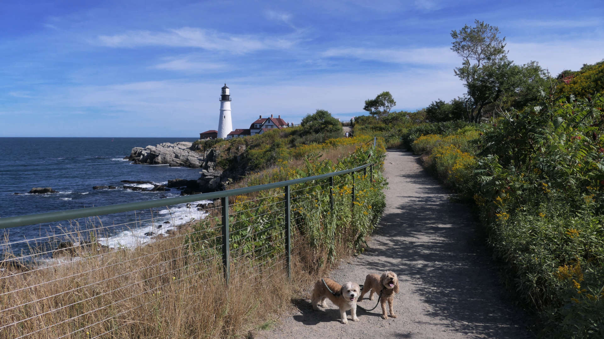 Cape_Elizabeth8