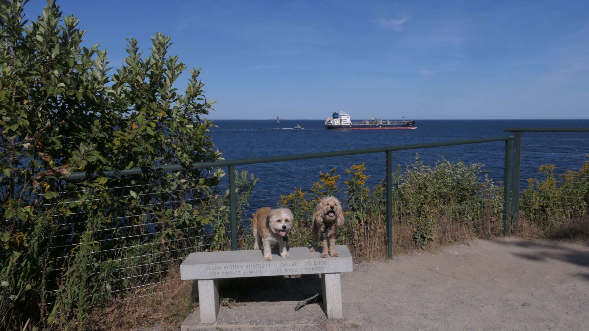 Cape_Elizabeth9
