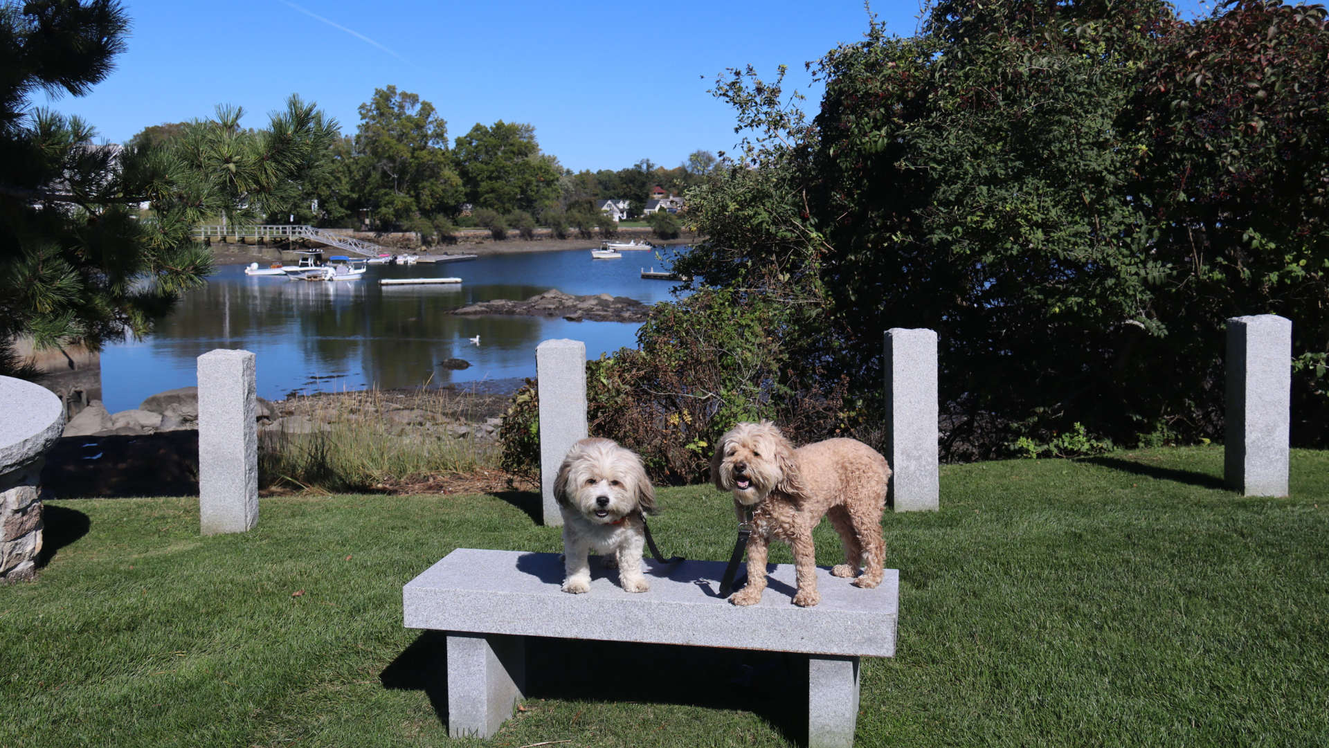 Cohasset14