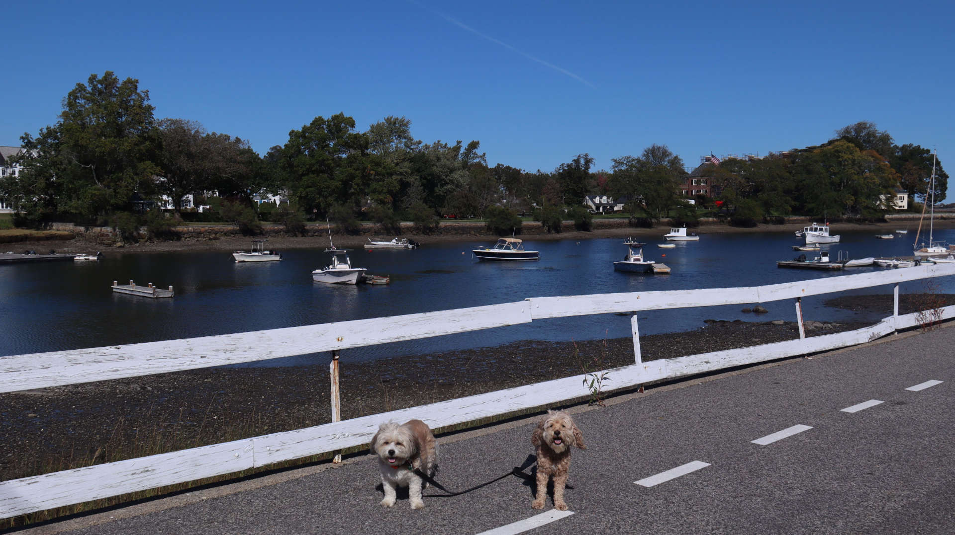 Cohasset15