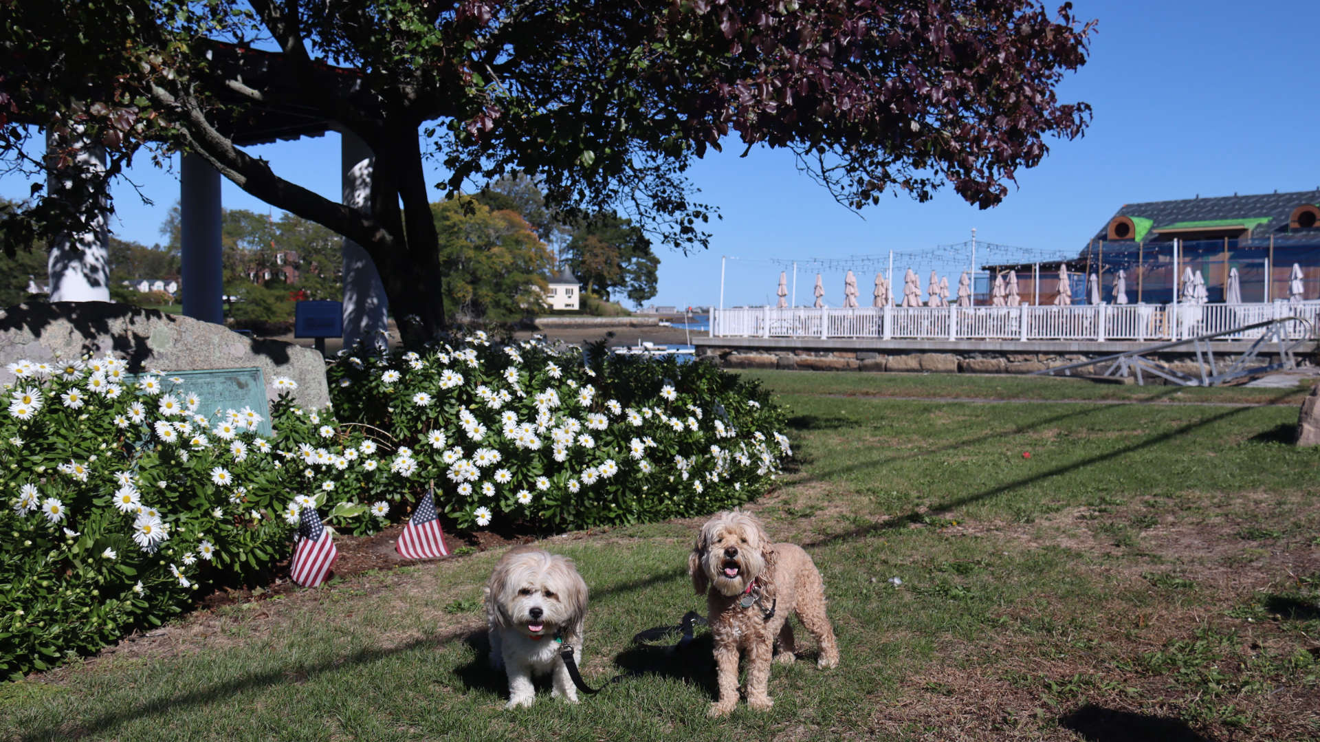Cohasset16