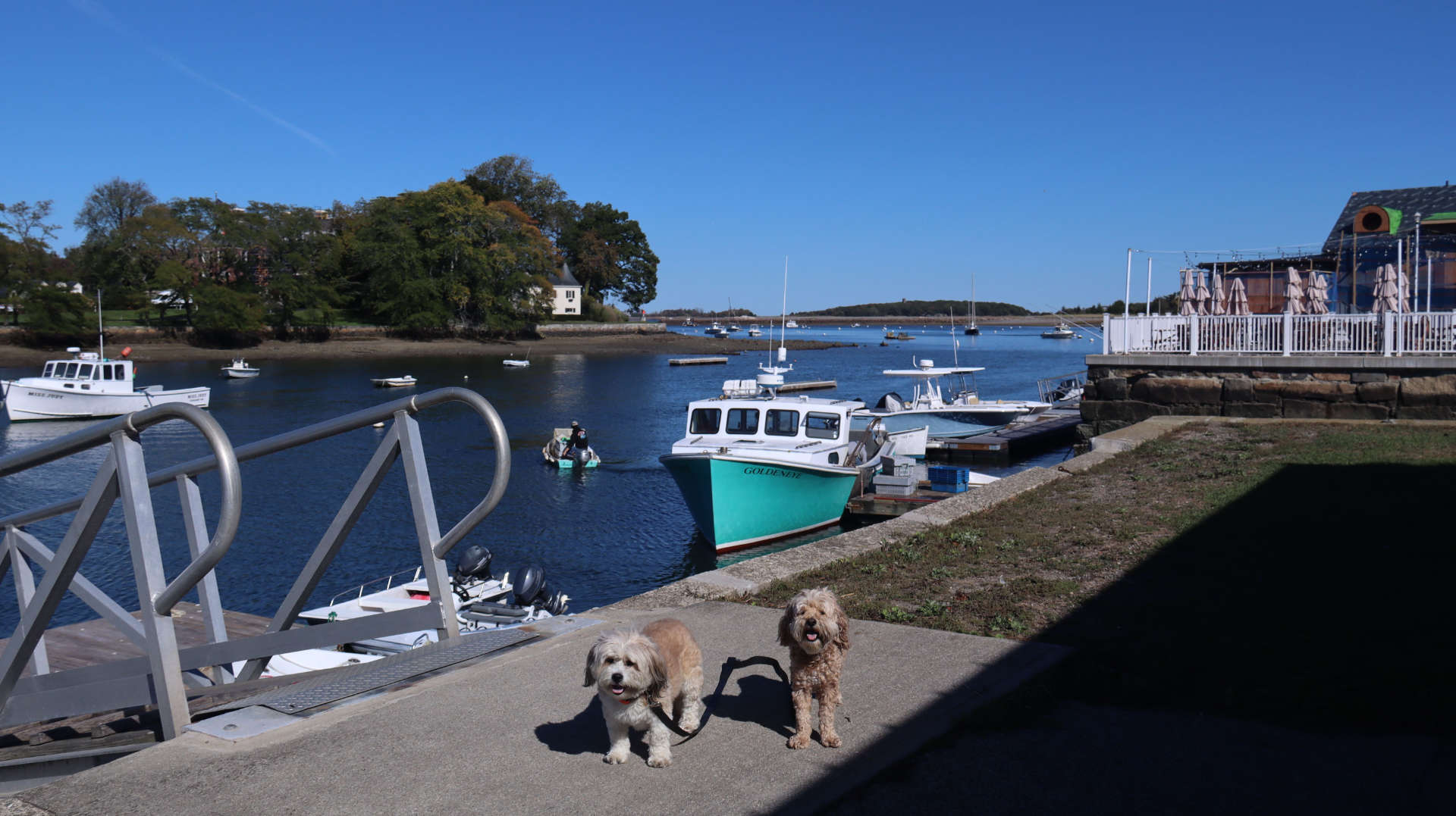 Cohasset17