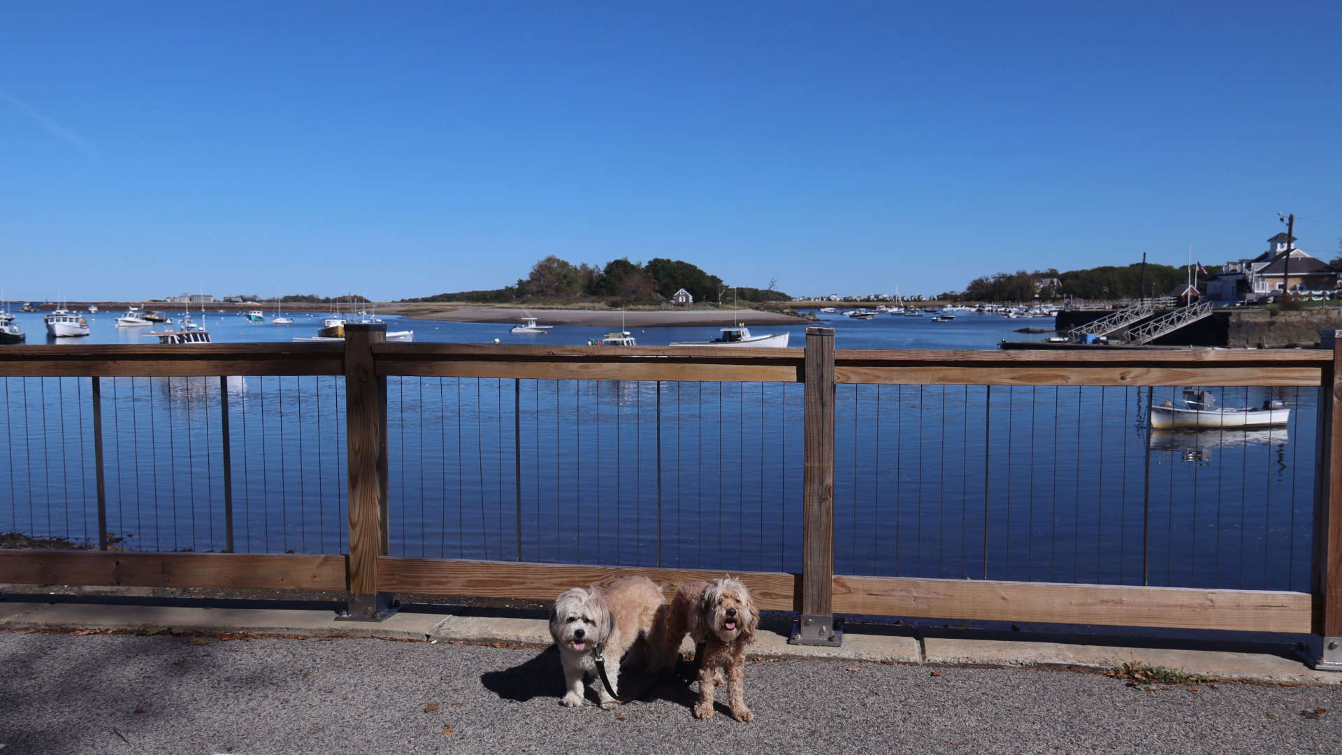 Cohasset18
