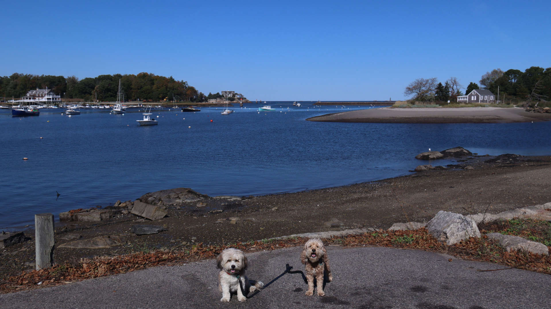 Cohasset21