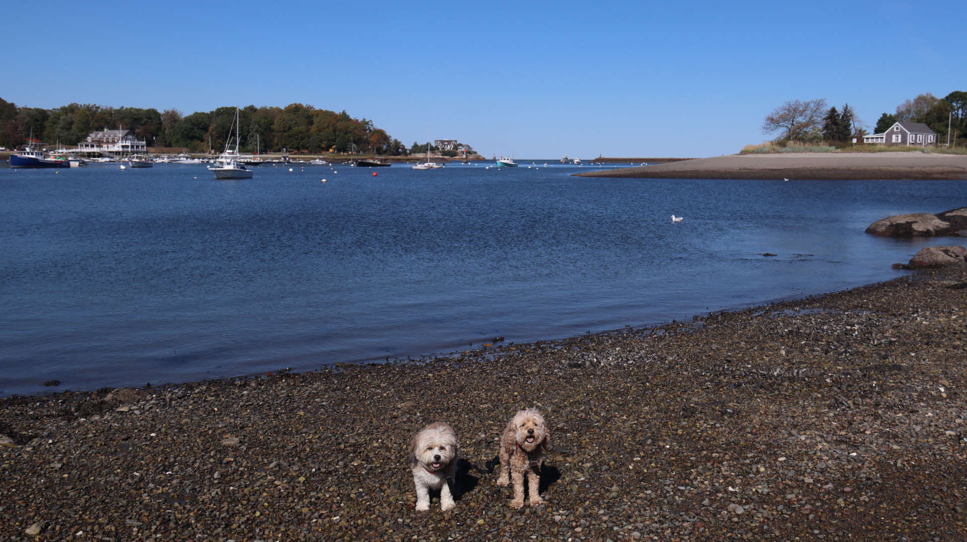 Cohasset22