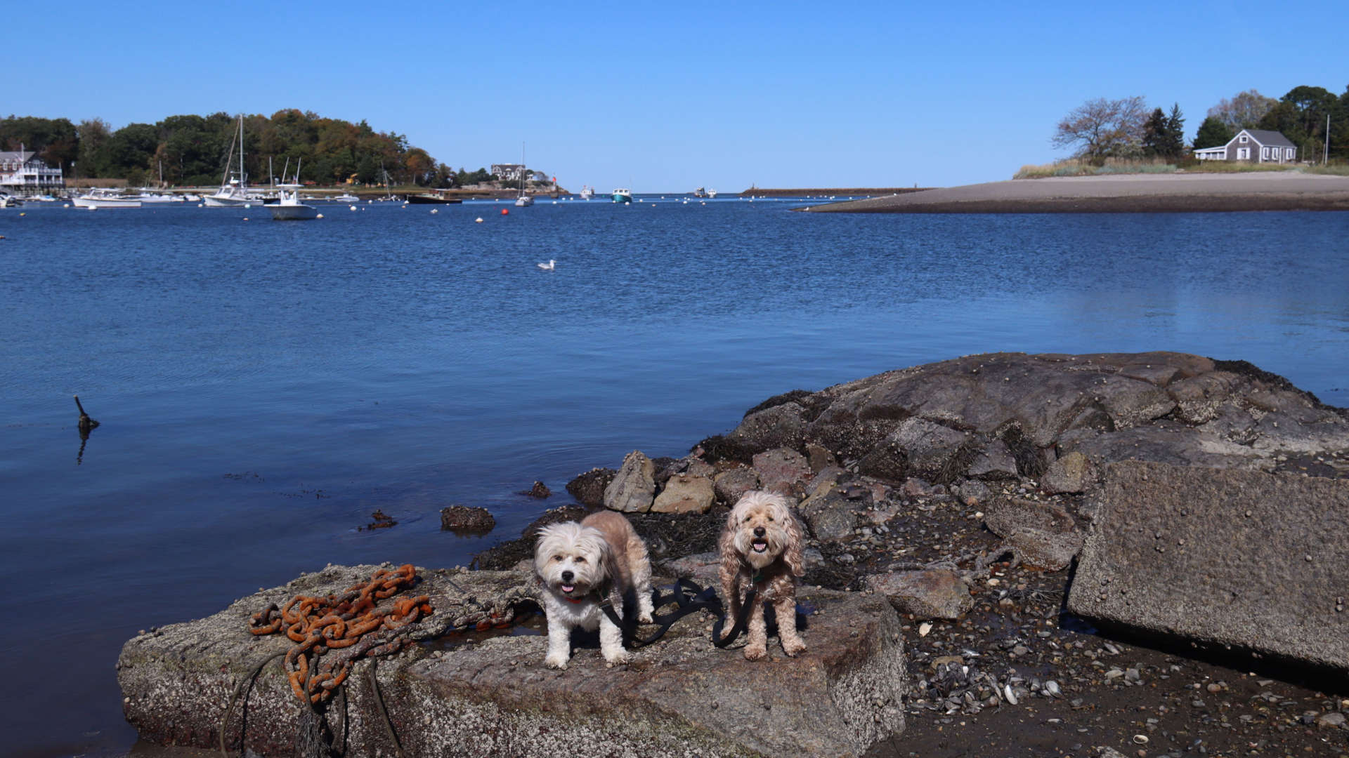 Cohasset23