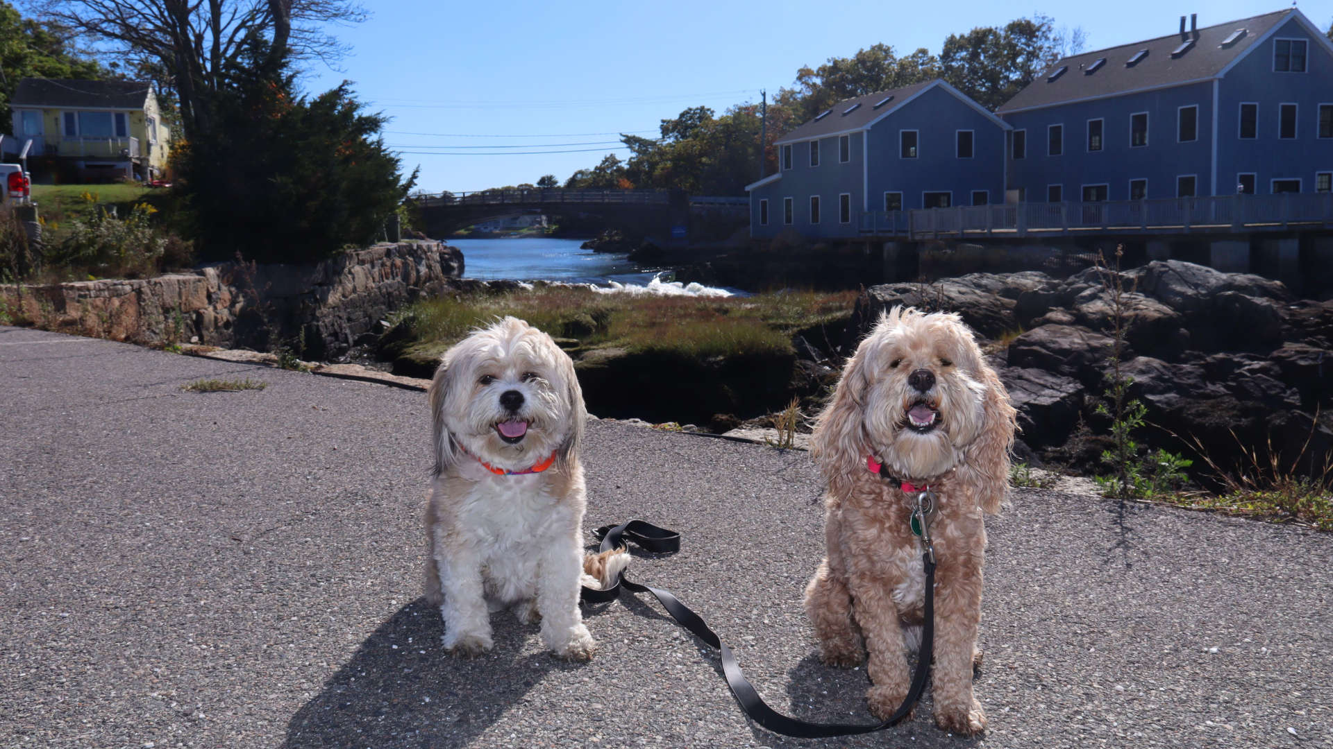 Cohasset25
