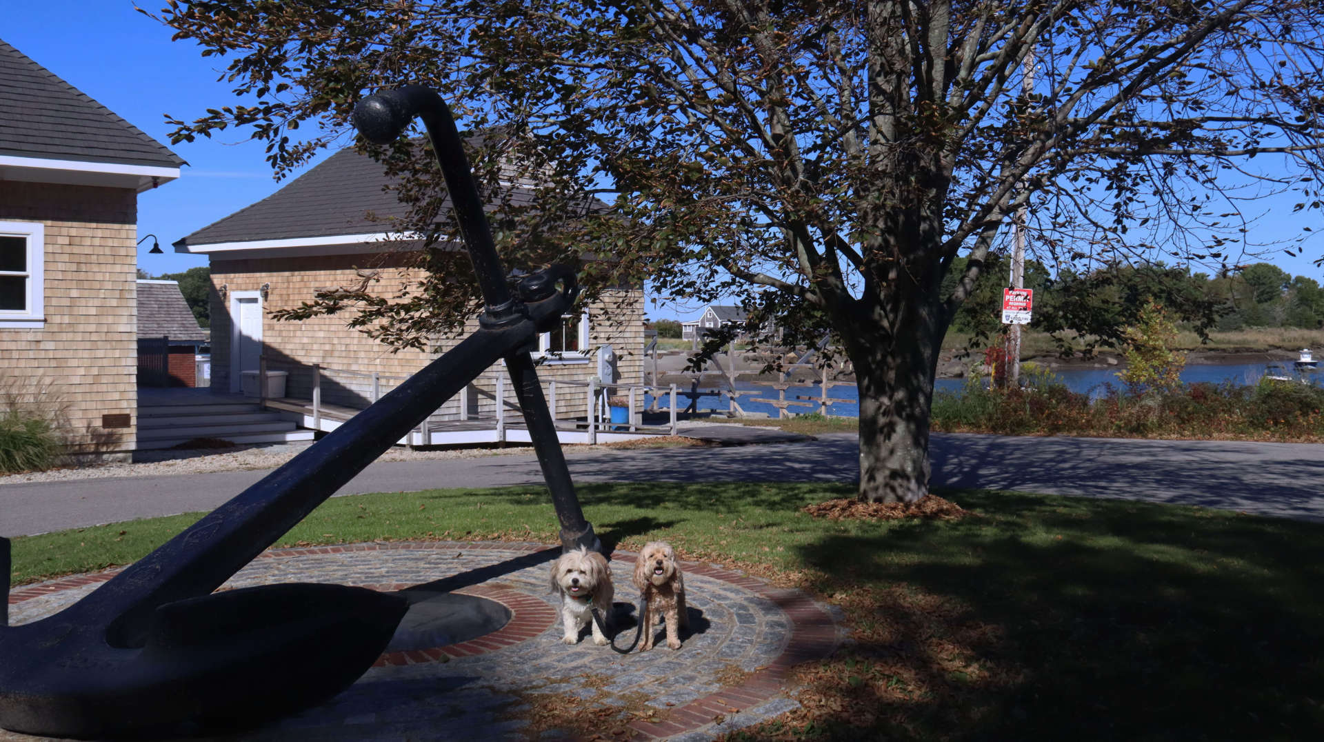 Cohasset28