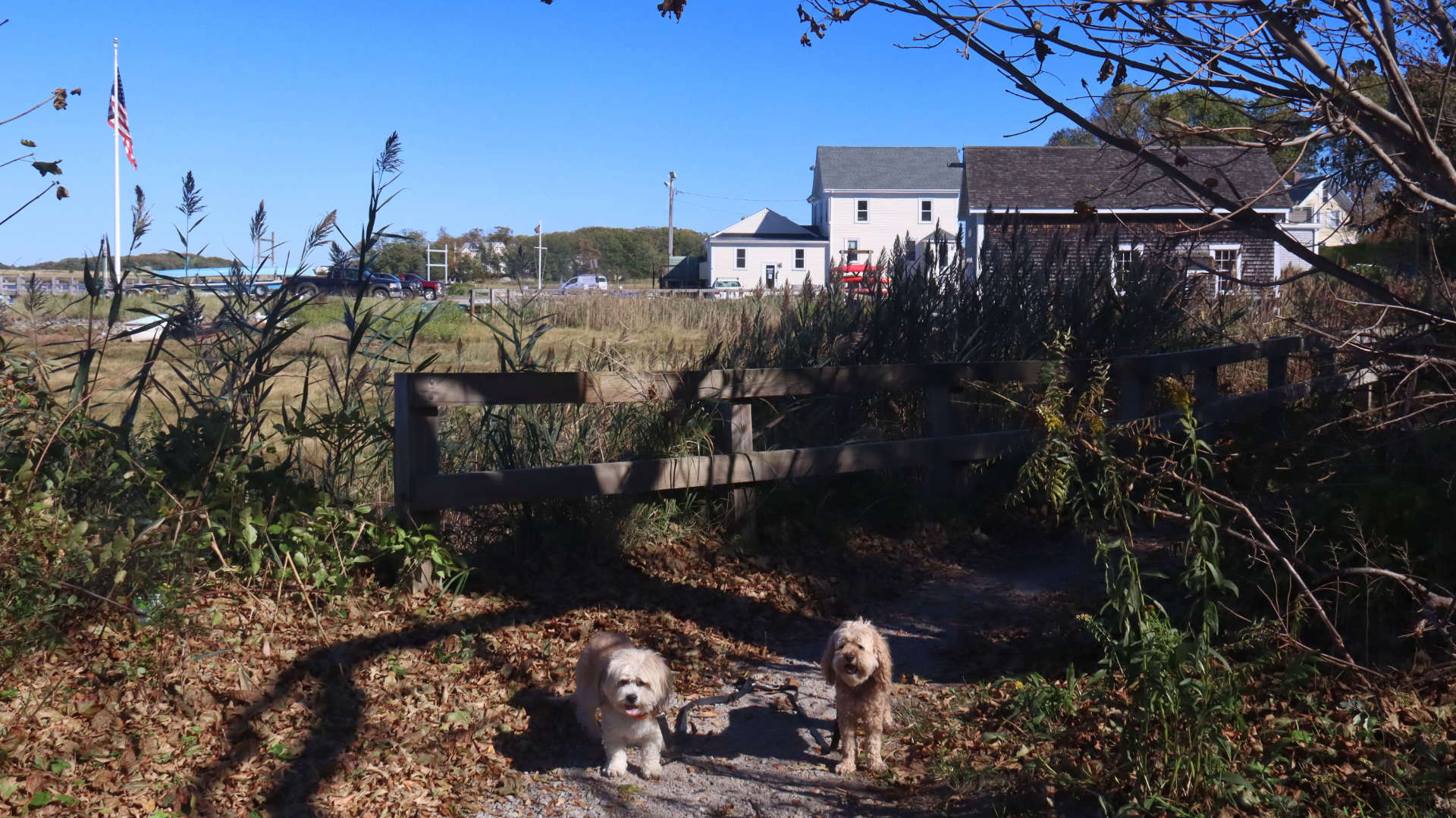 Cohasset29