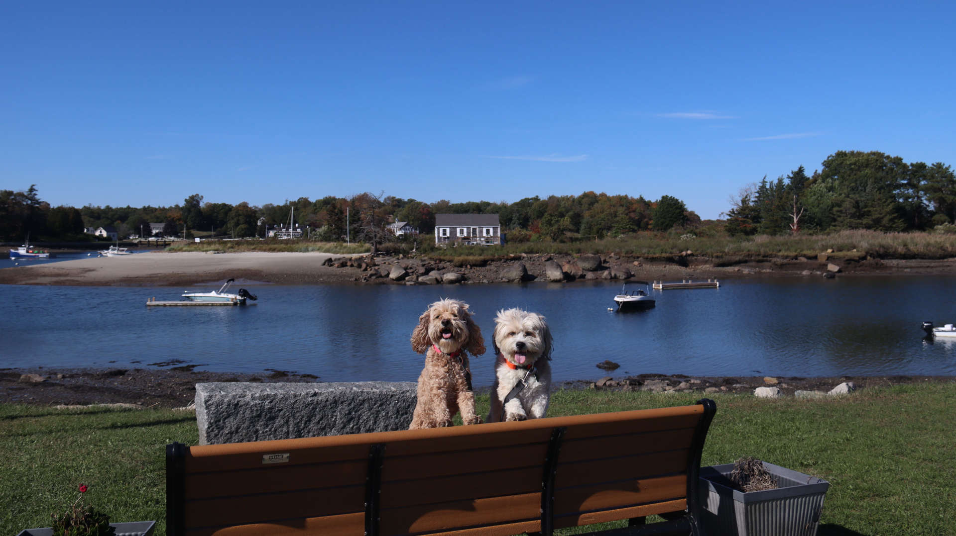 Cohasset31