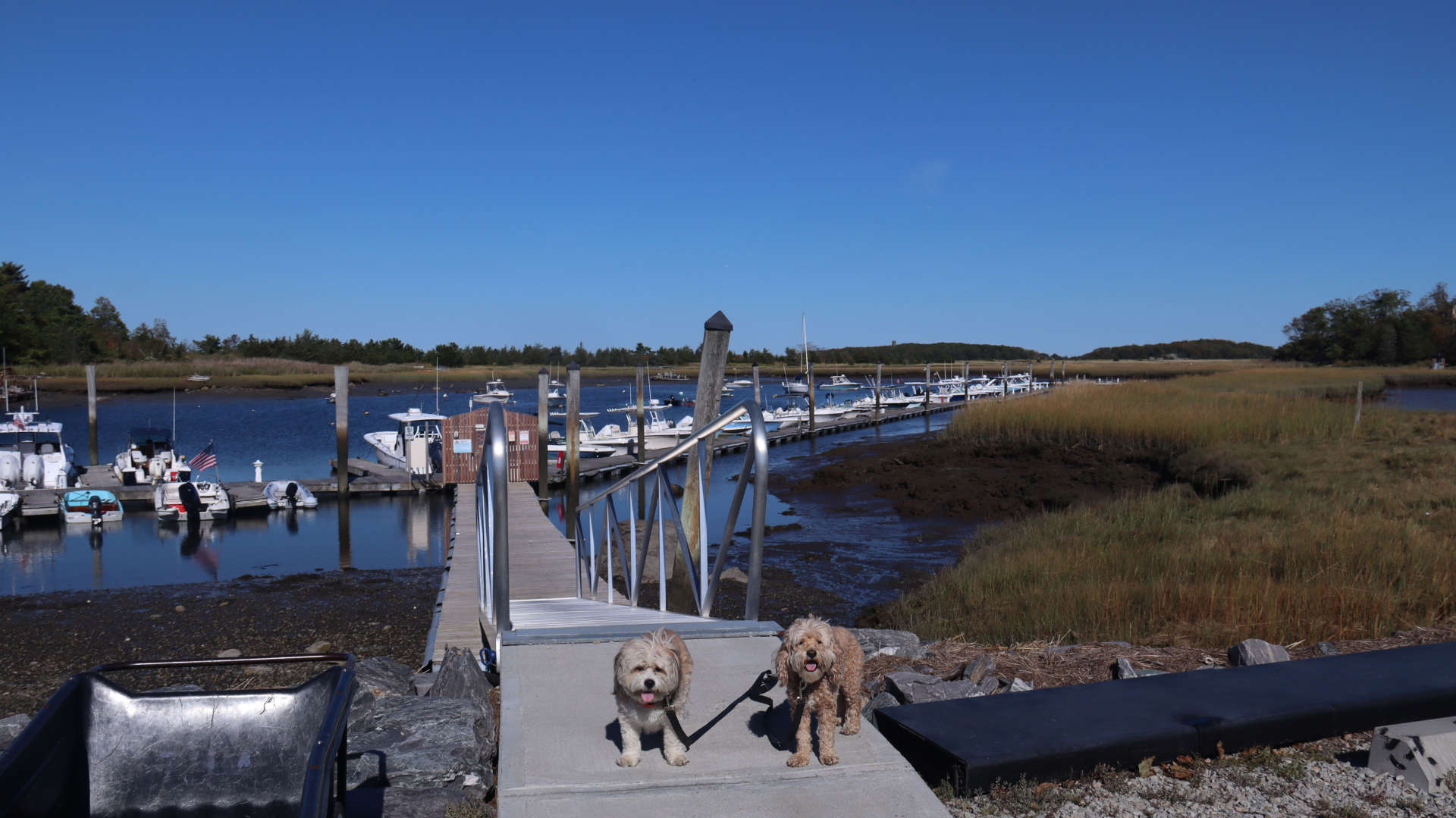 Cohasset33
