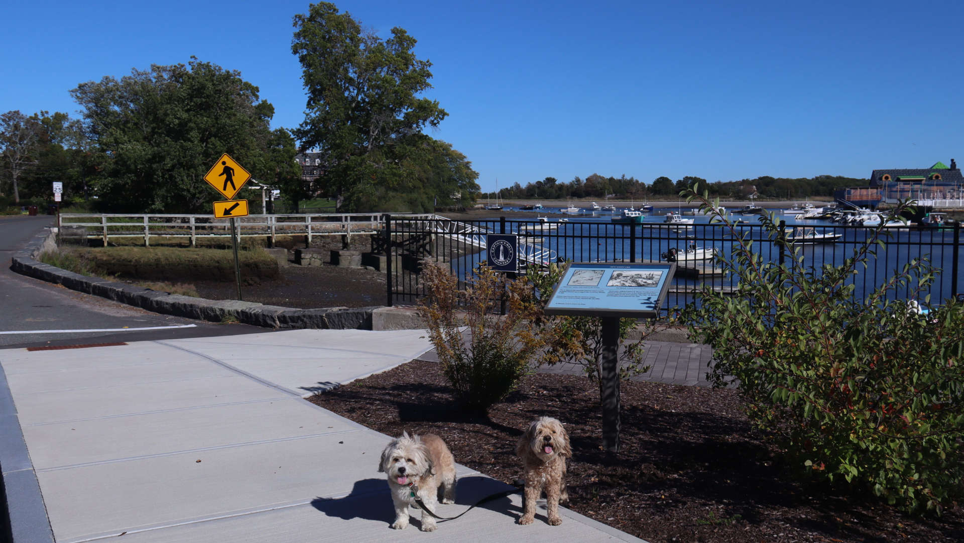 Cohasset39
