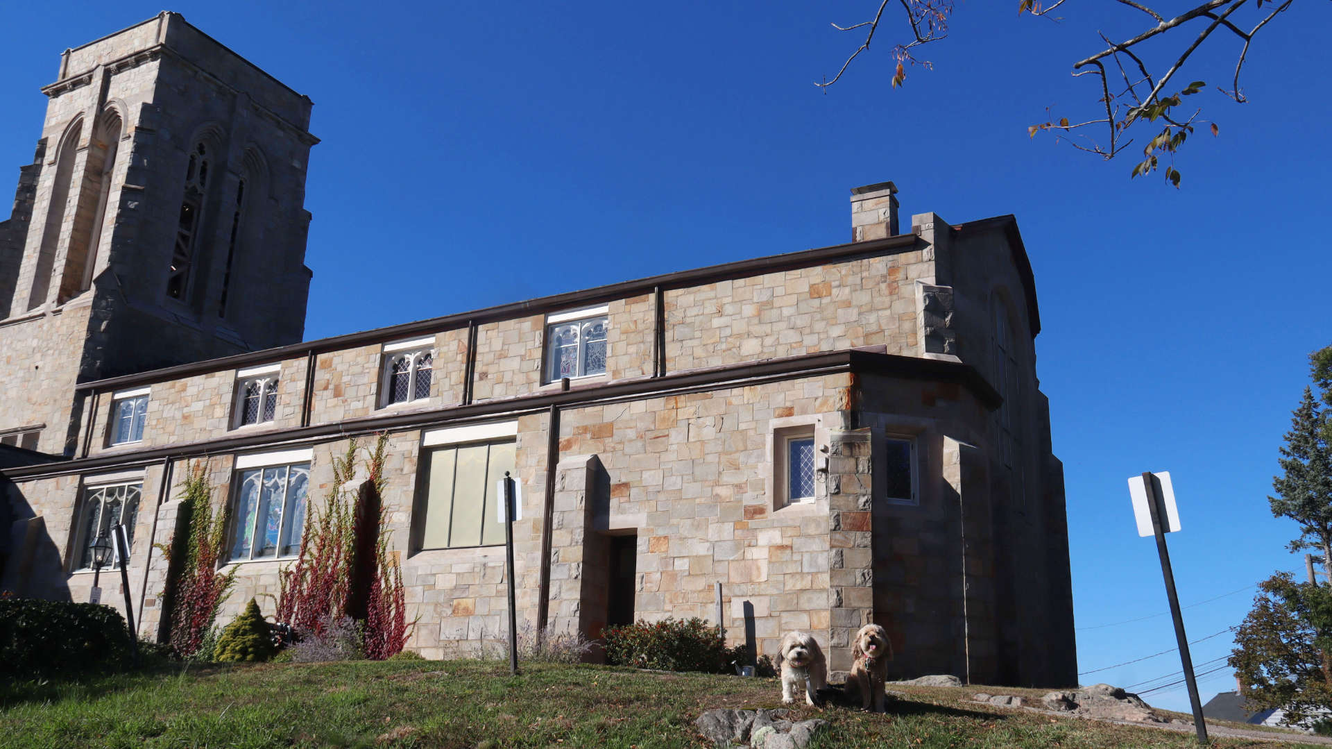 Cohasset41
