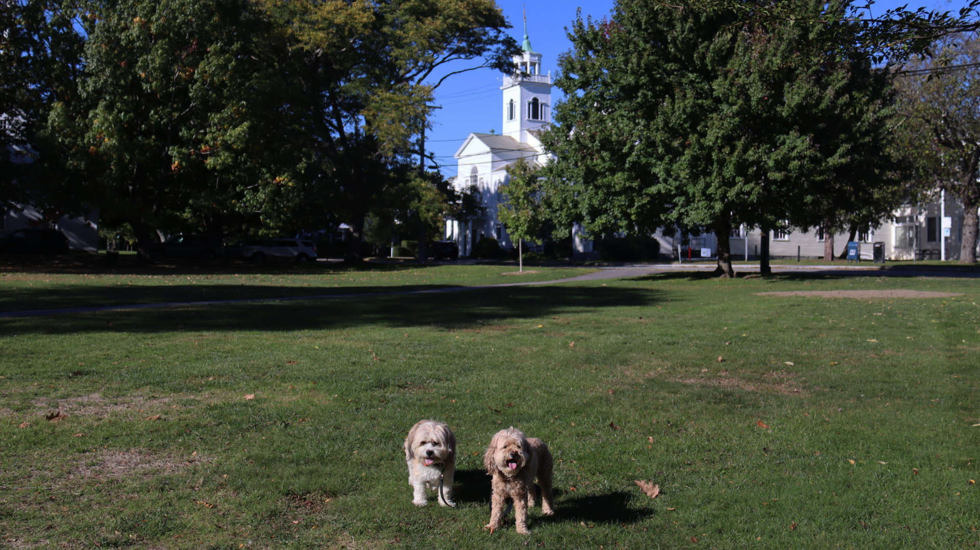 Cohasset43