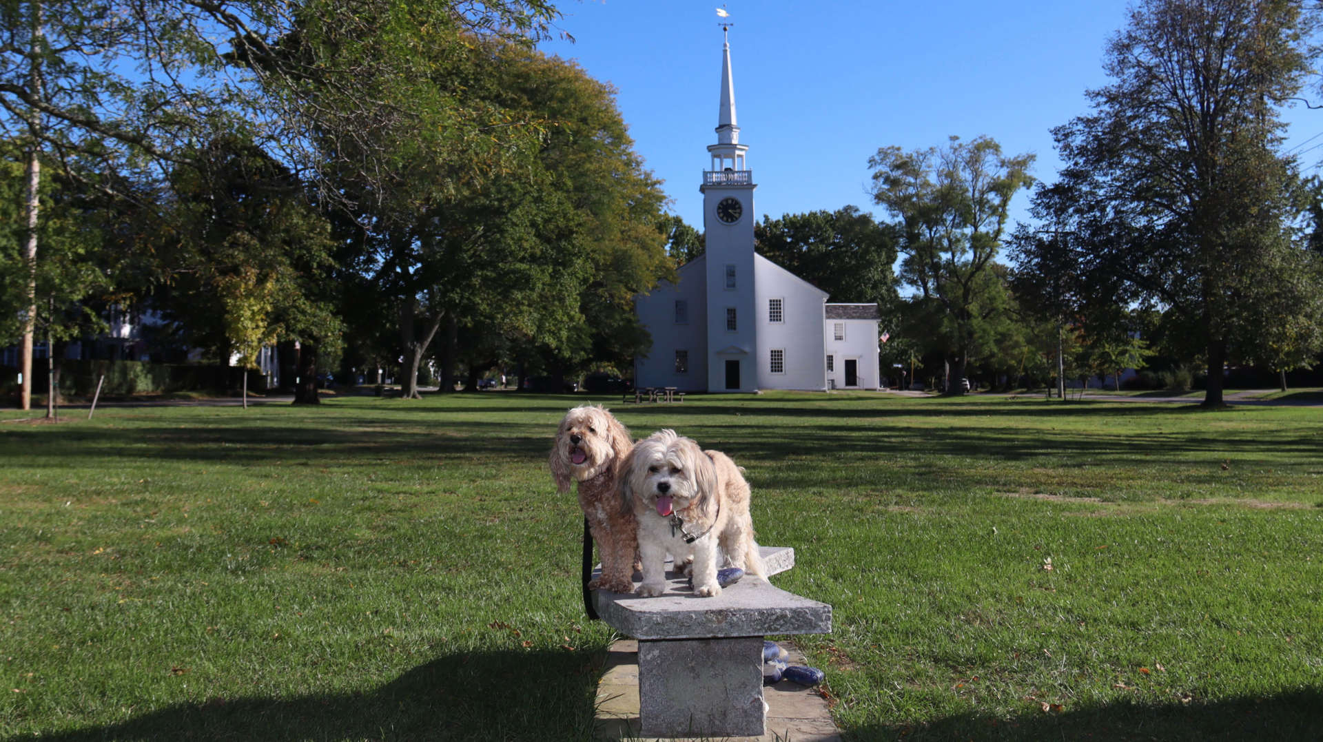 Cohasset44