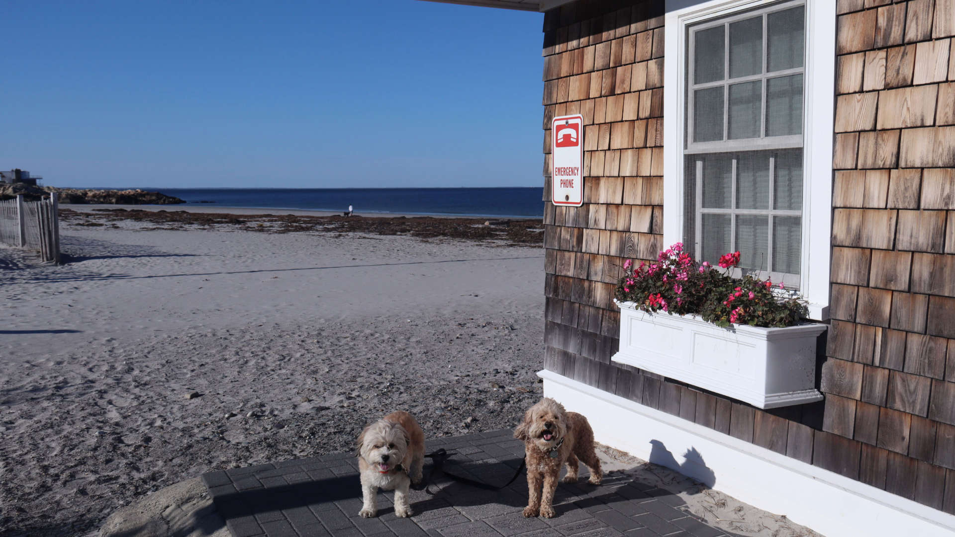 Cohasset52