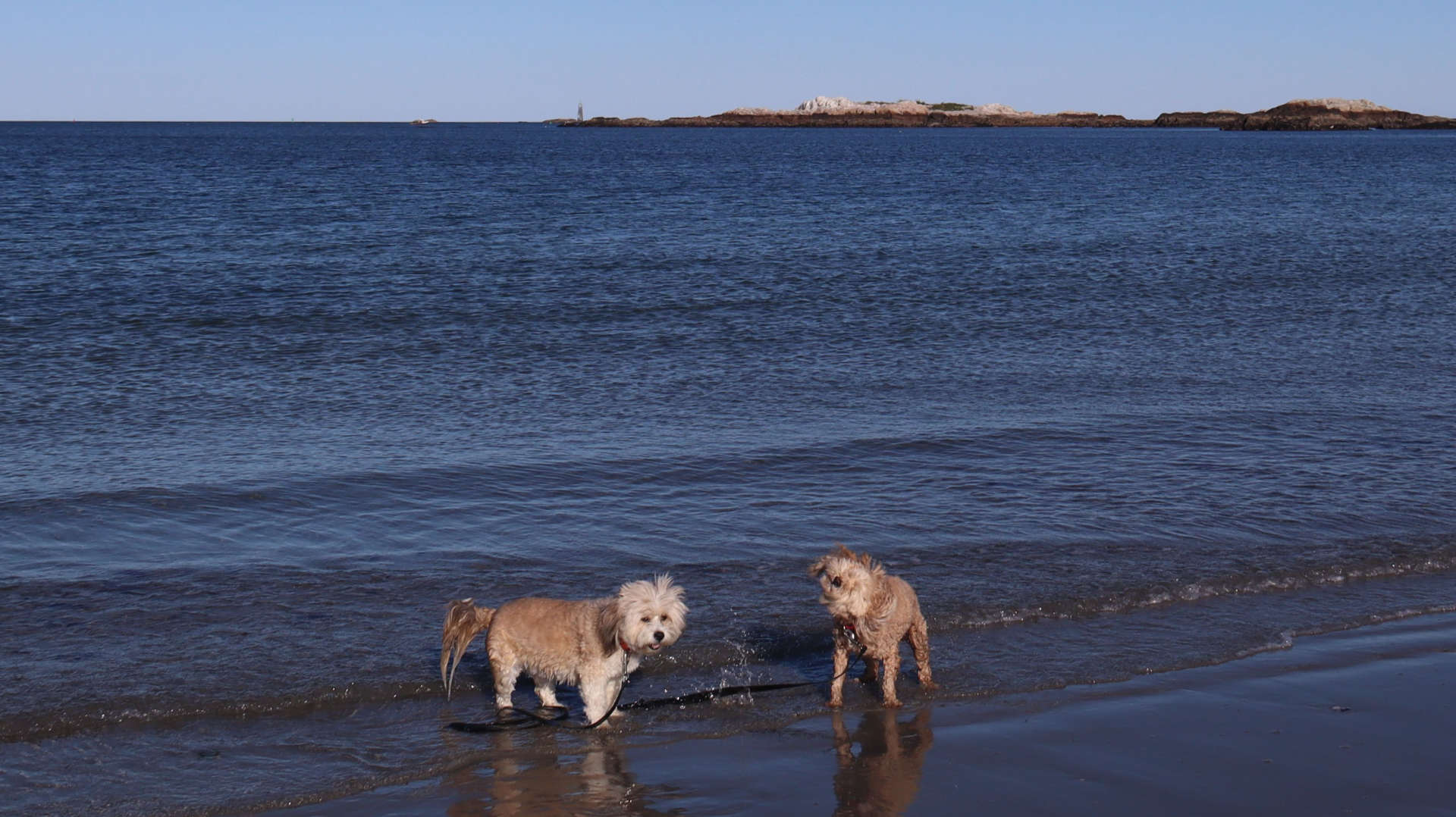Cohasset56