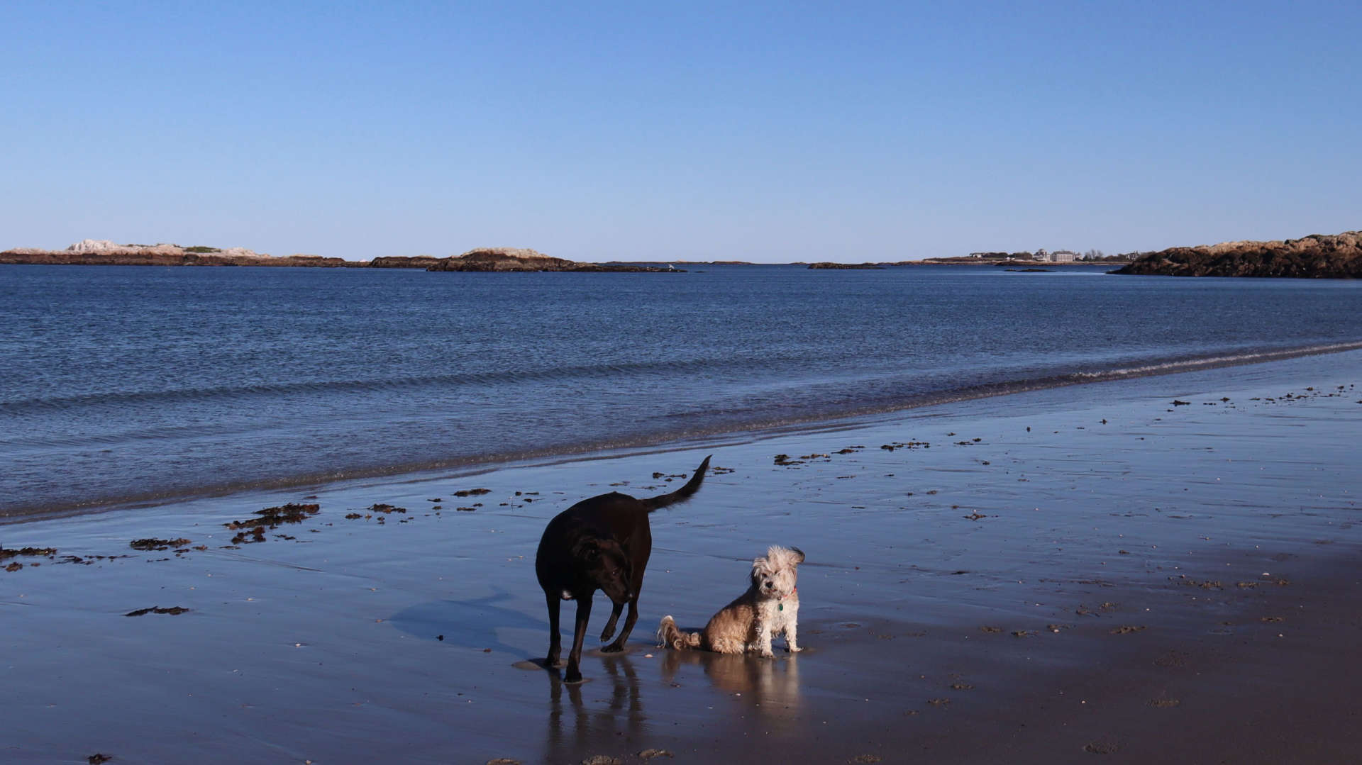 Cohasset59