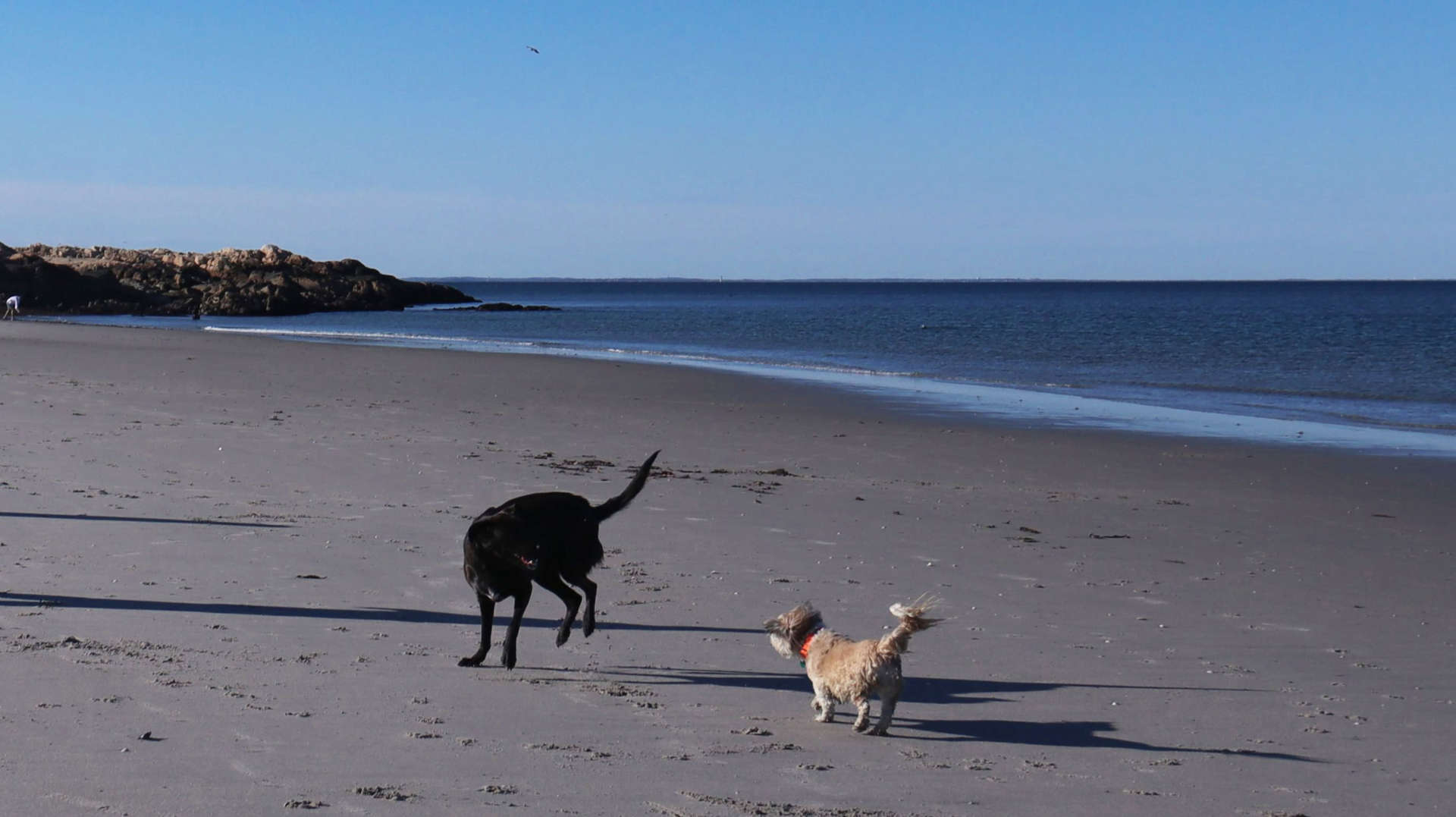 Cohasset60