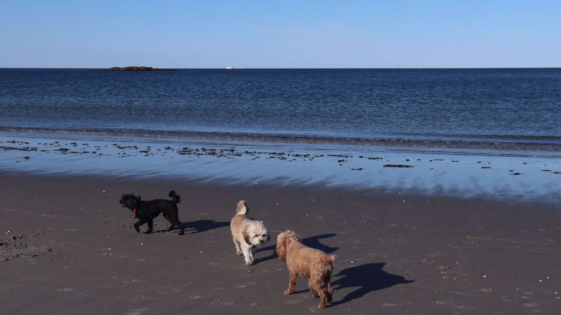 Cohasset61
