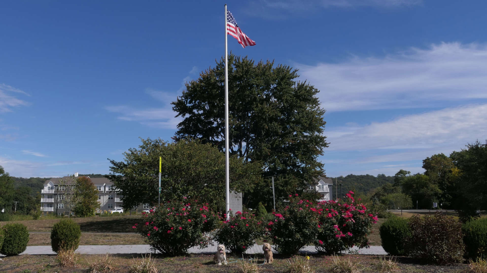 Cohoes37