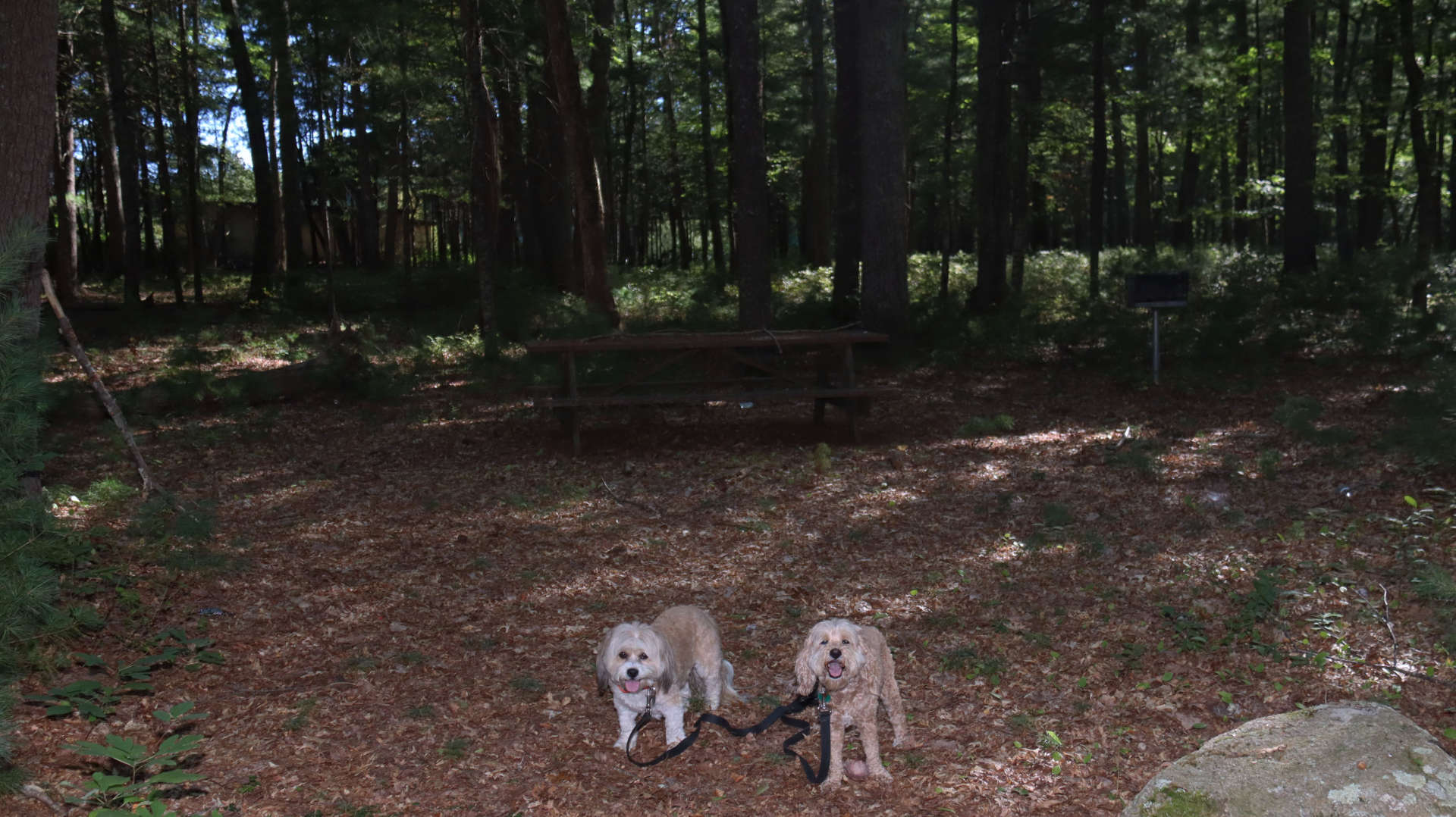 Coventry169