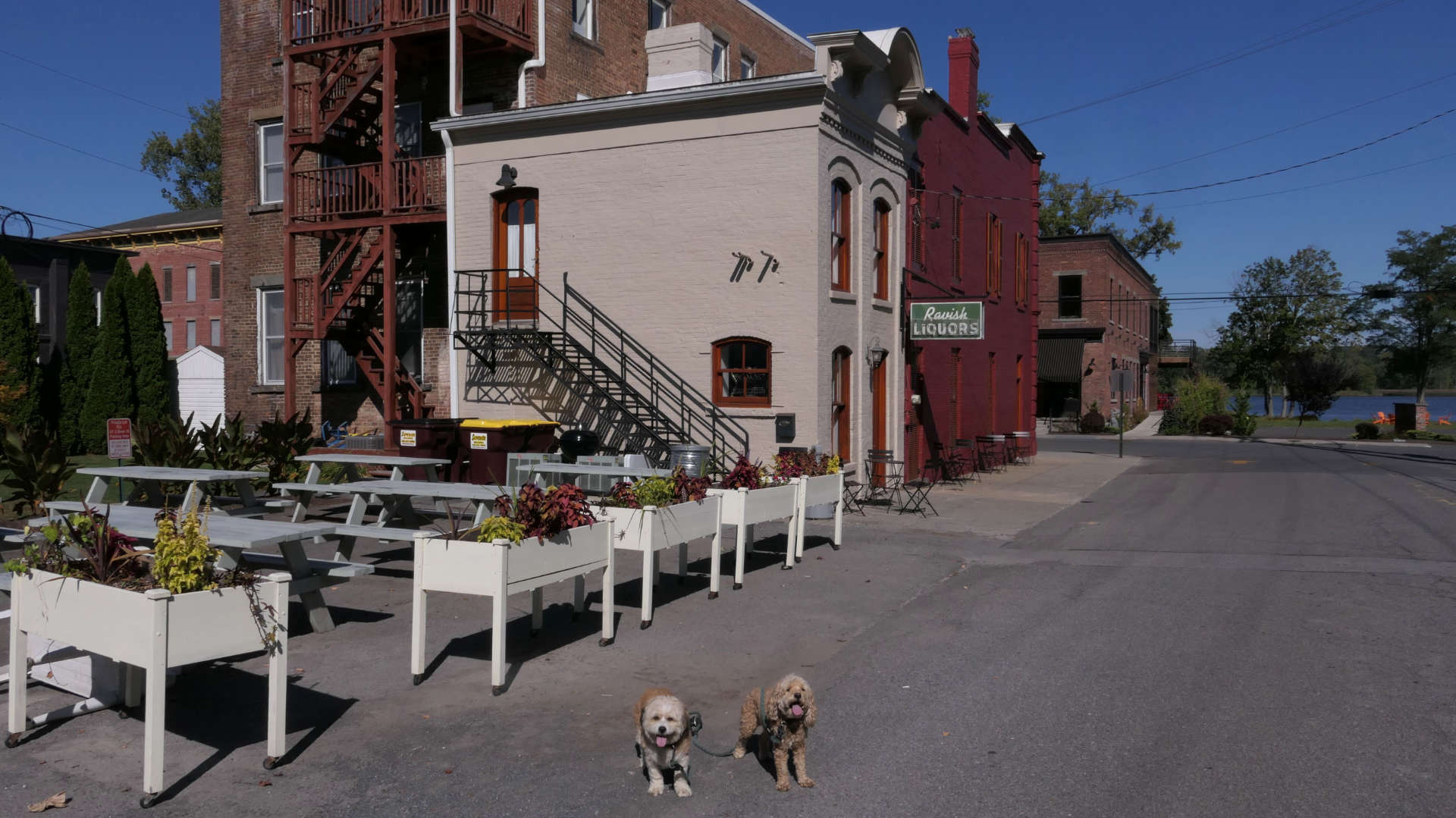 Coxsackie27