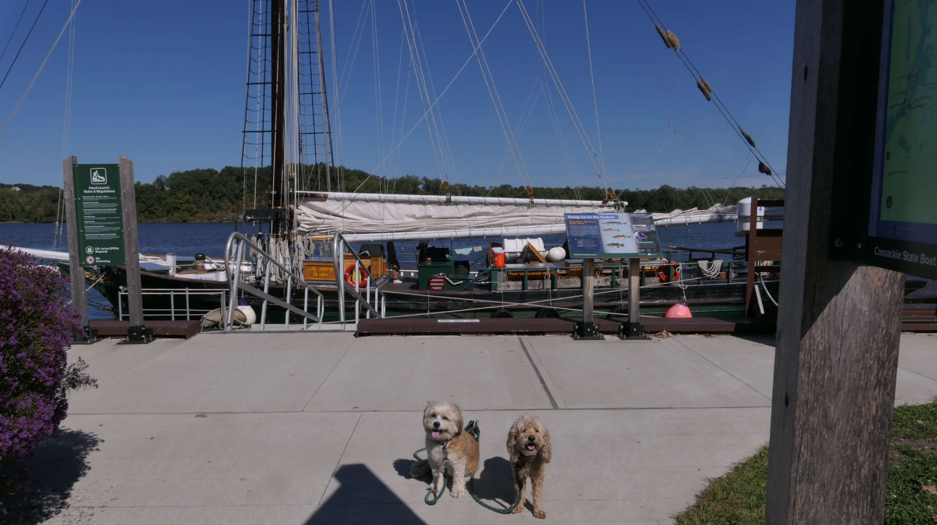 Coxsackie5