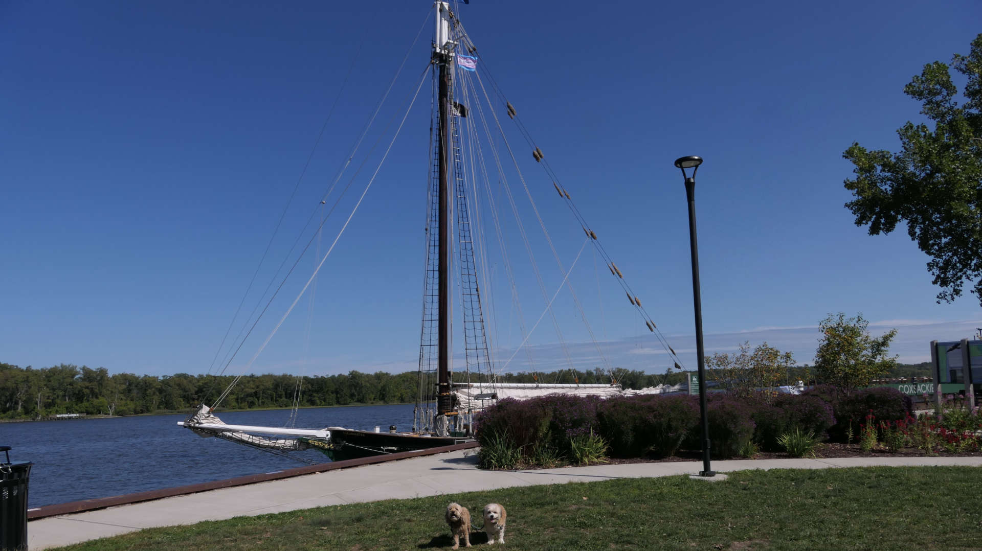 Coxsackie6
