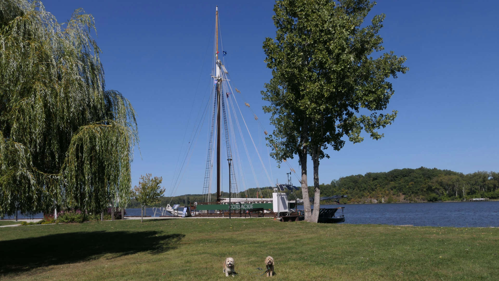 Coxsackie7
