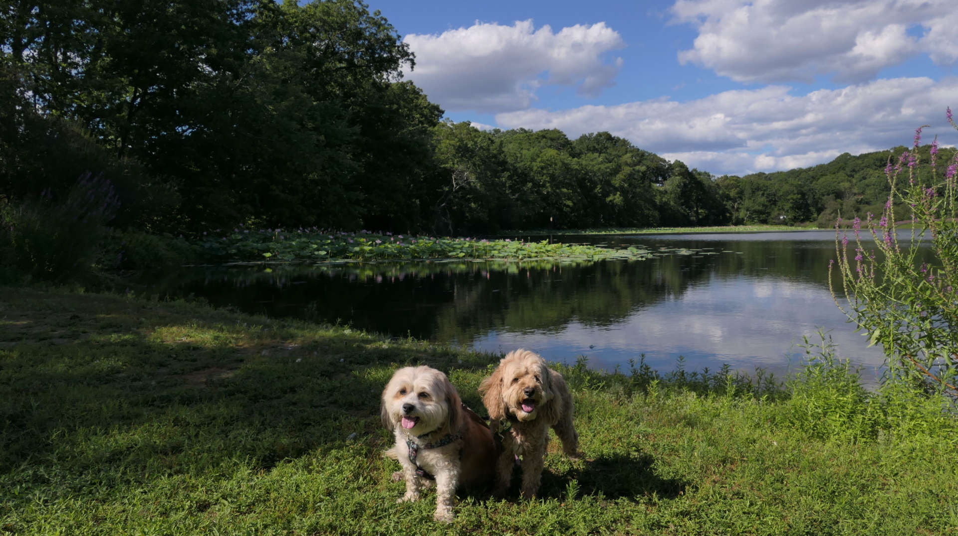 Meshanticut State Park