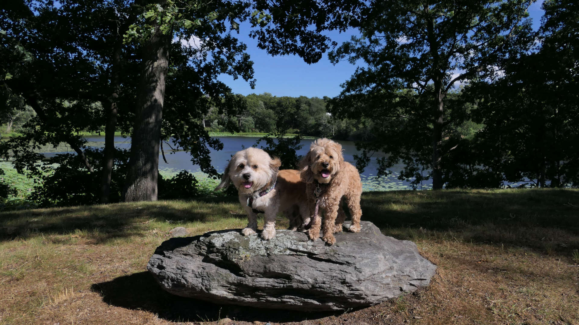 Meshanticut State Park