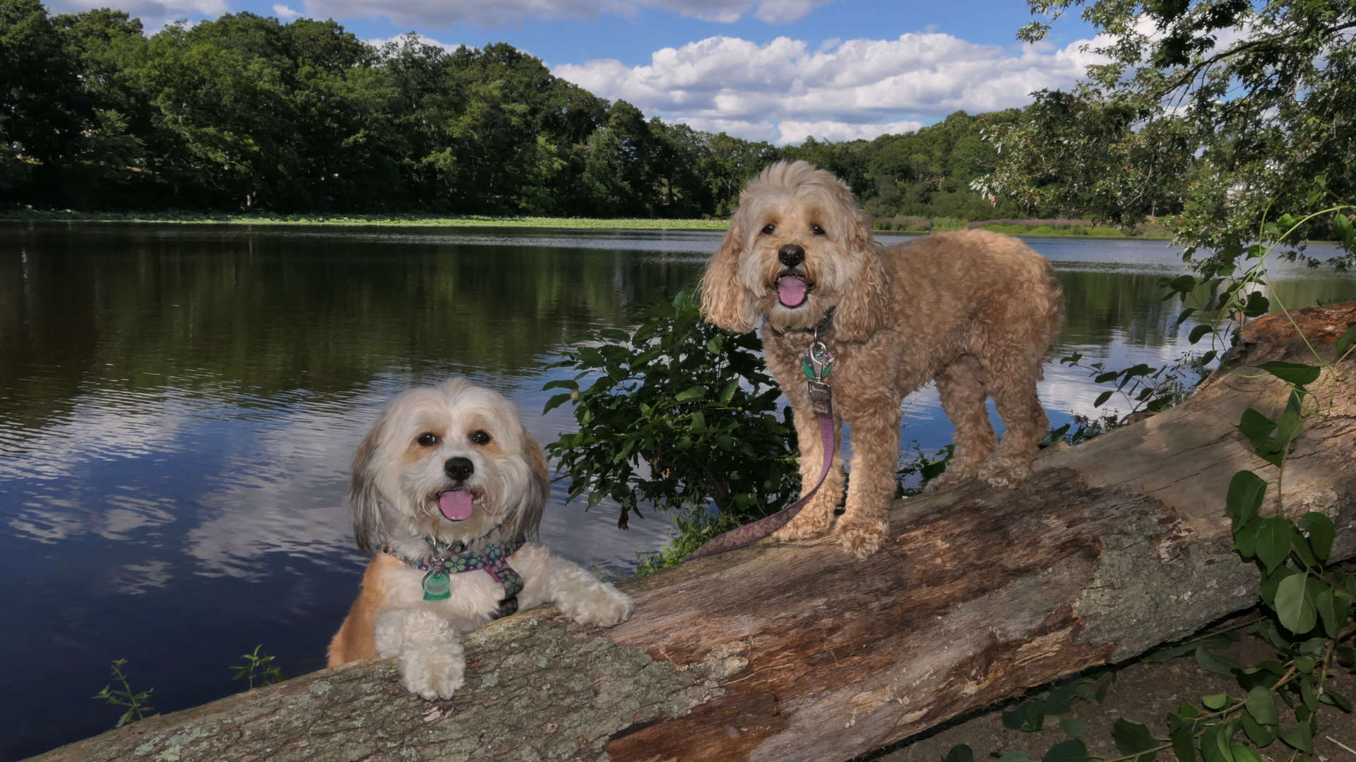 Meshanticut State Park