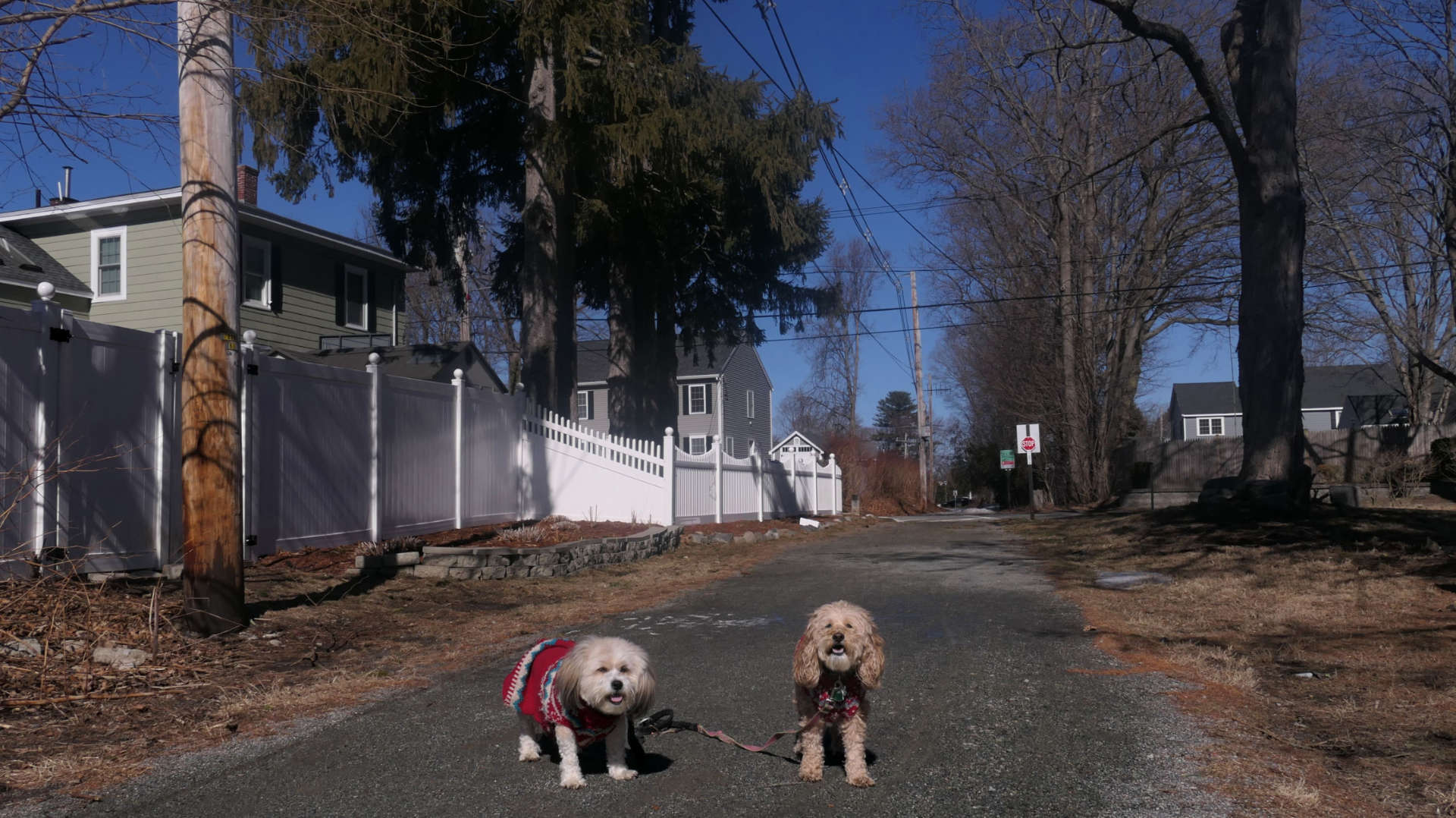 Danvers2
