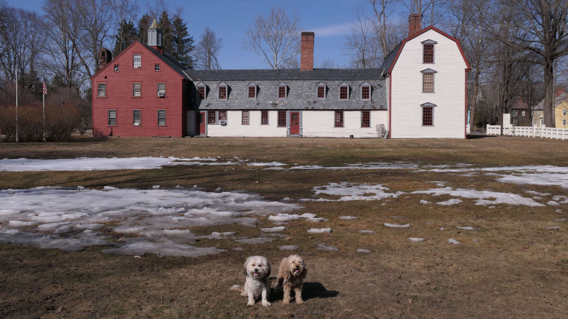 Deerfield12